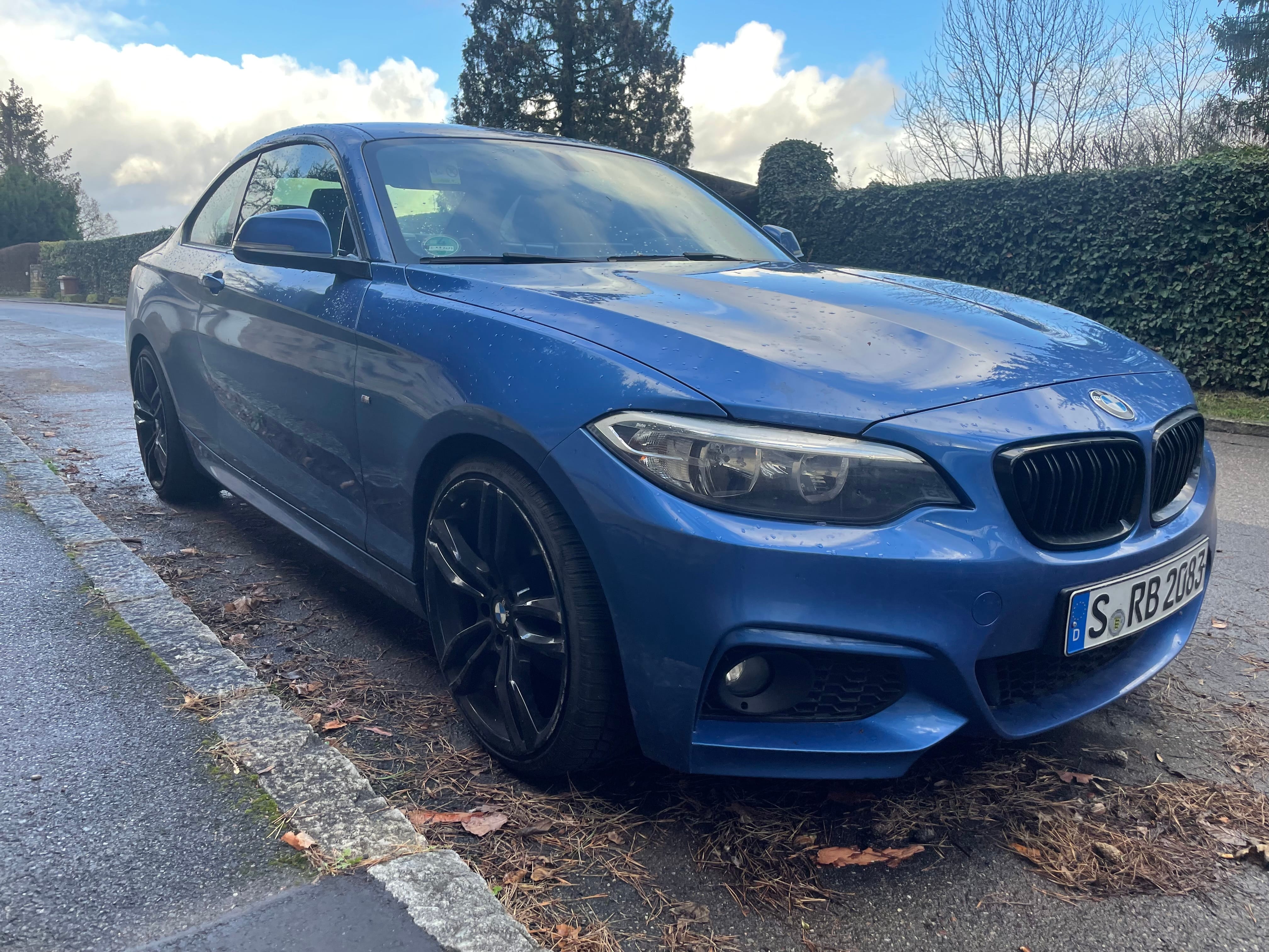 BMW 2er Coupe con Neumáticos de invierno