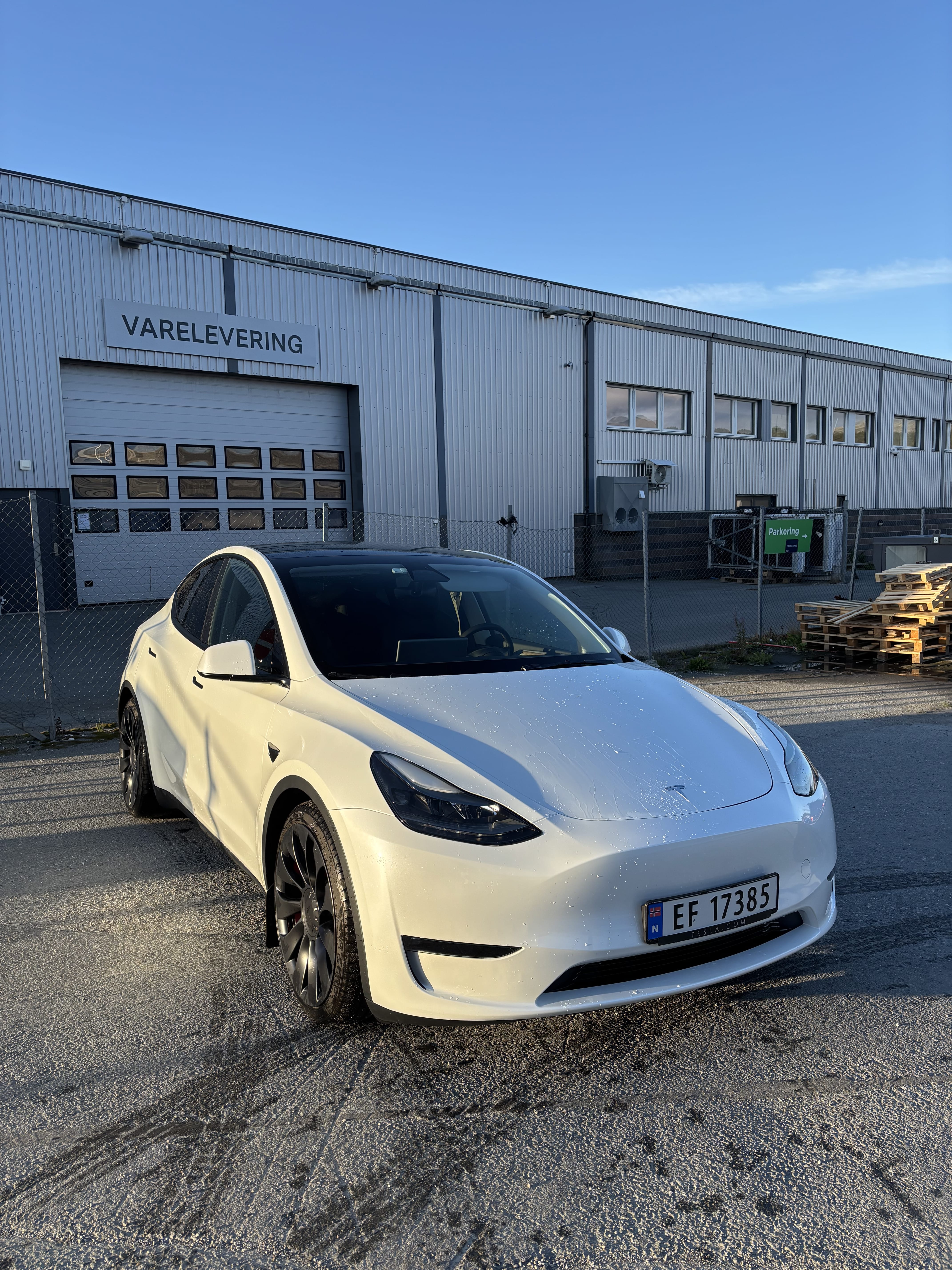 Tesla Model Y Performance, 2022, Elektrisch, automatisch