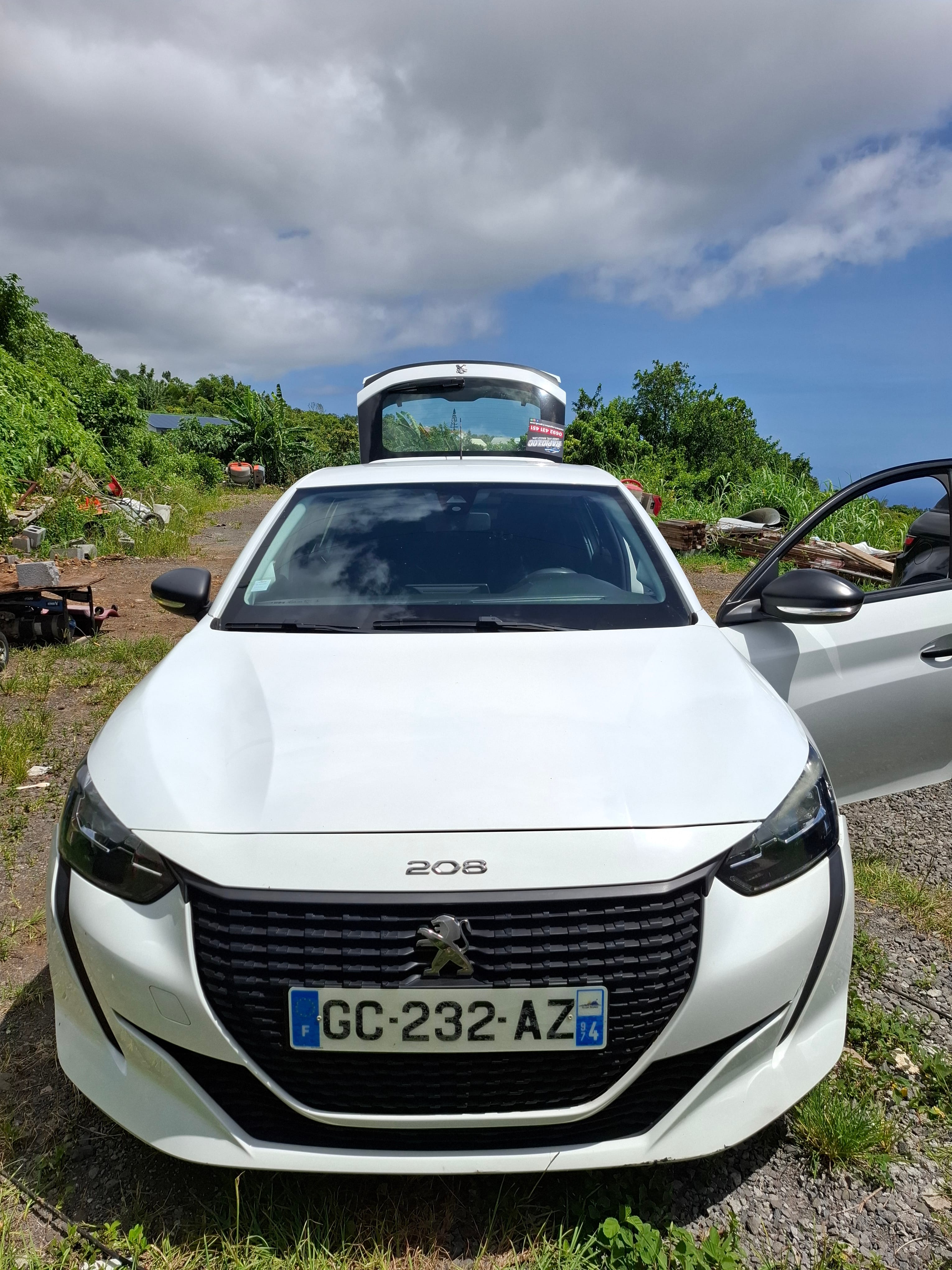 Peugeot 208, 2021, Essence 95