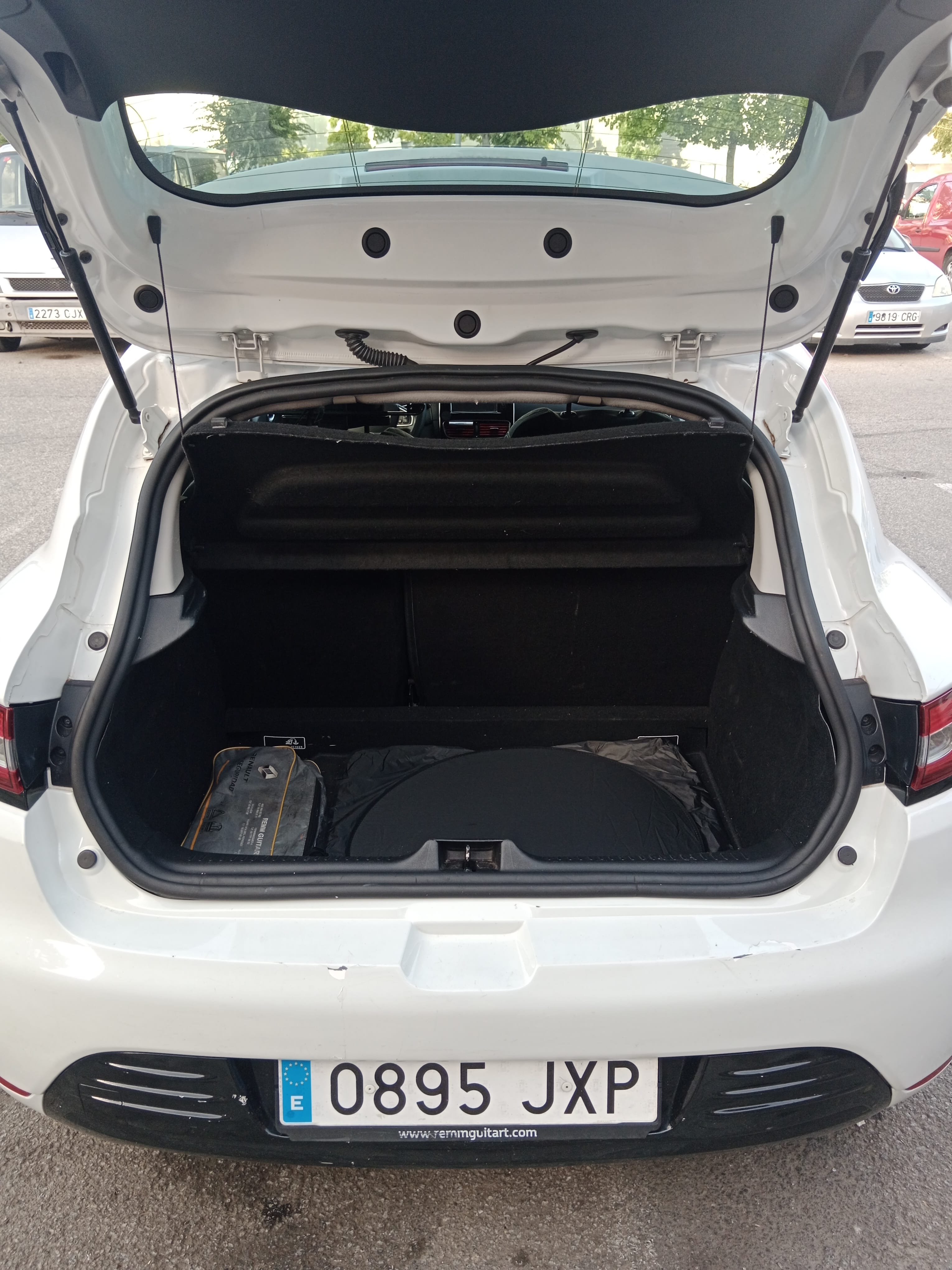Renault Clio con Portaequipajes