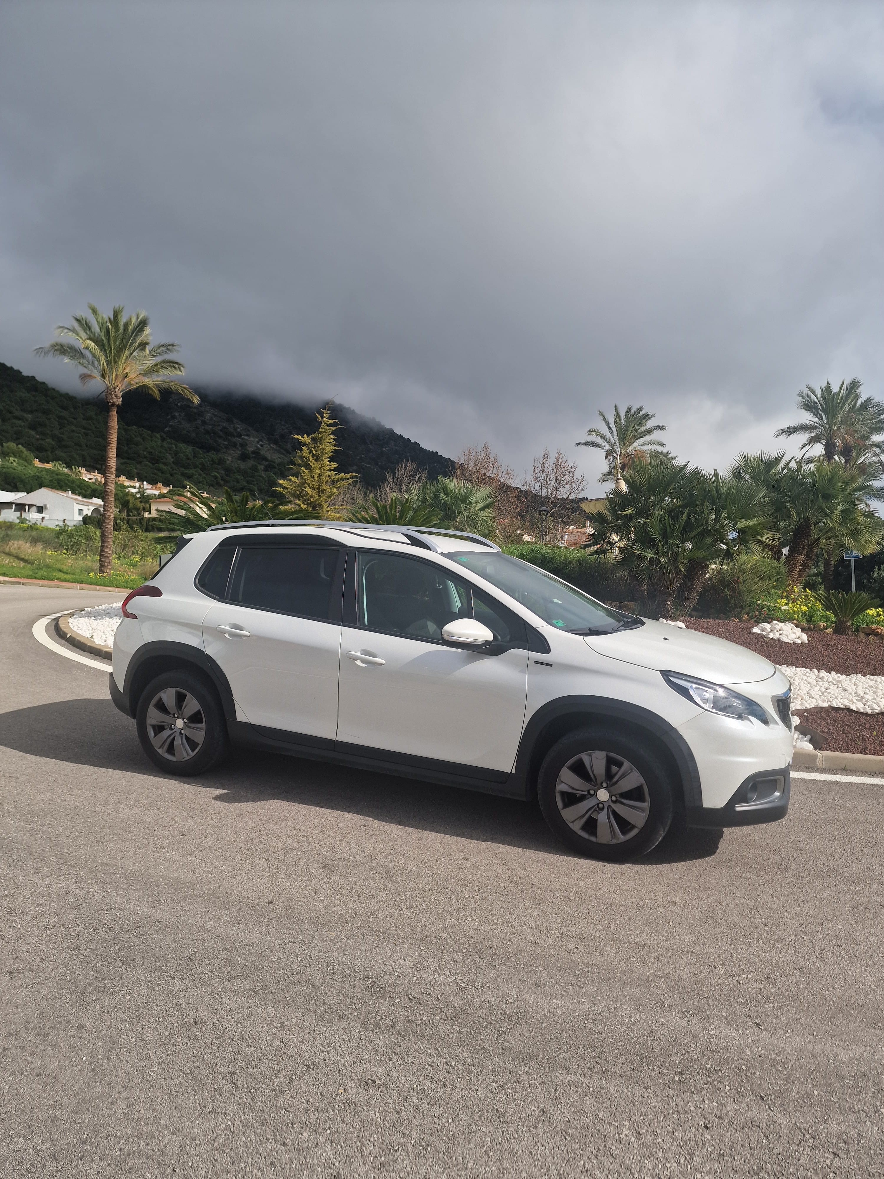 Peugeot 2008, 2019, Gasolina 95