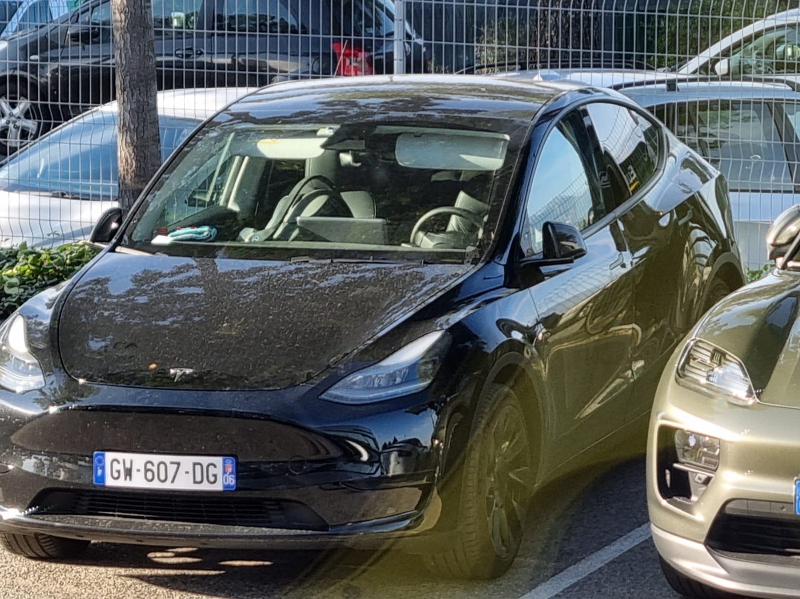 Tesla Model Y Standard Range avec Régulateur de vitesse