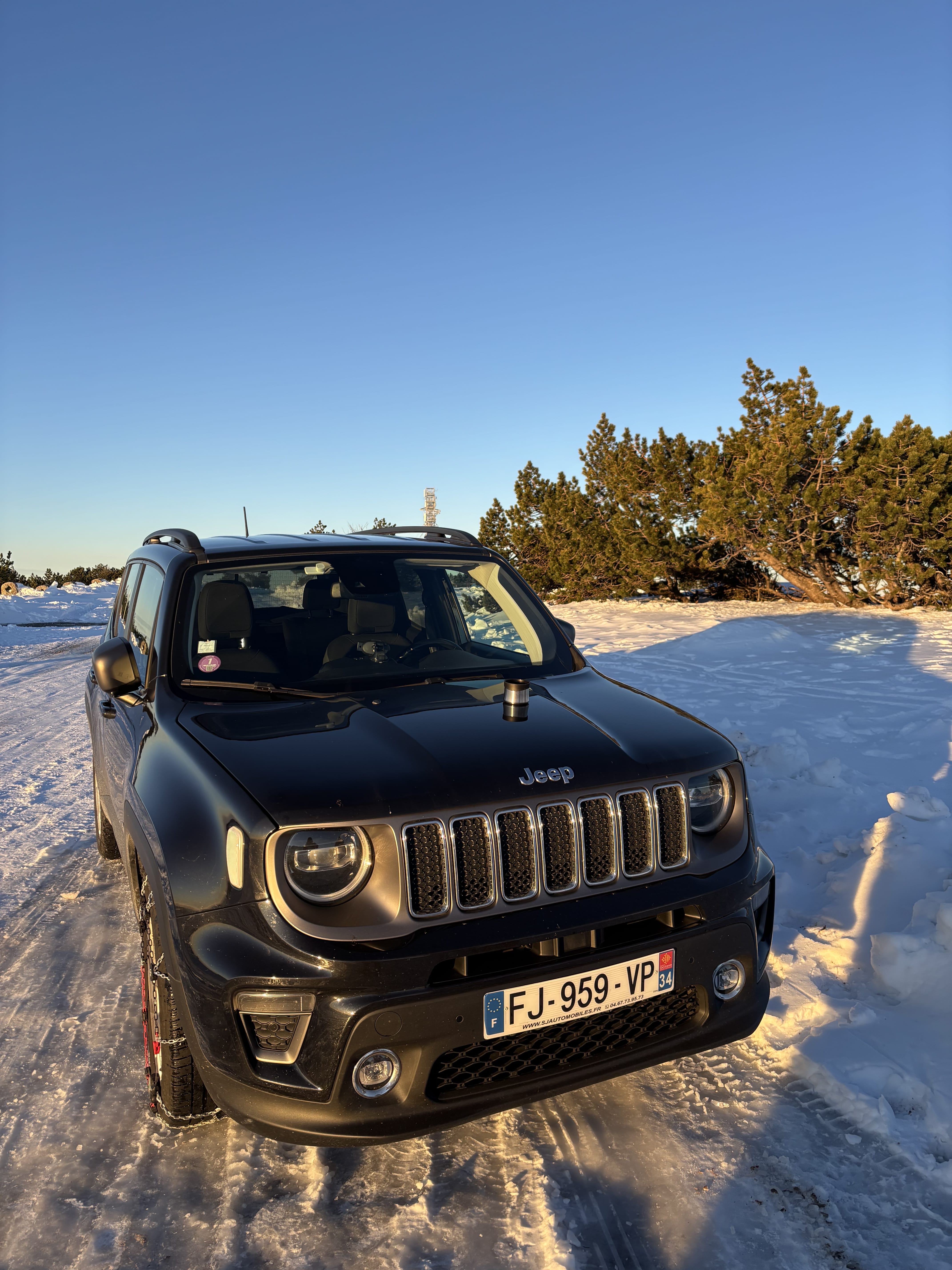Jeep Renegade Limited, 2019, Essence 98