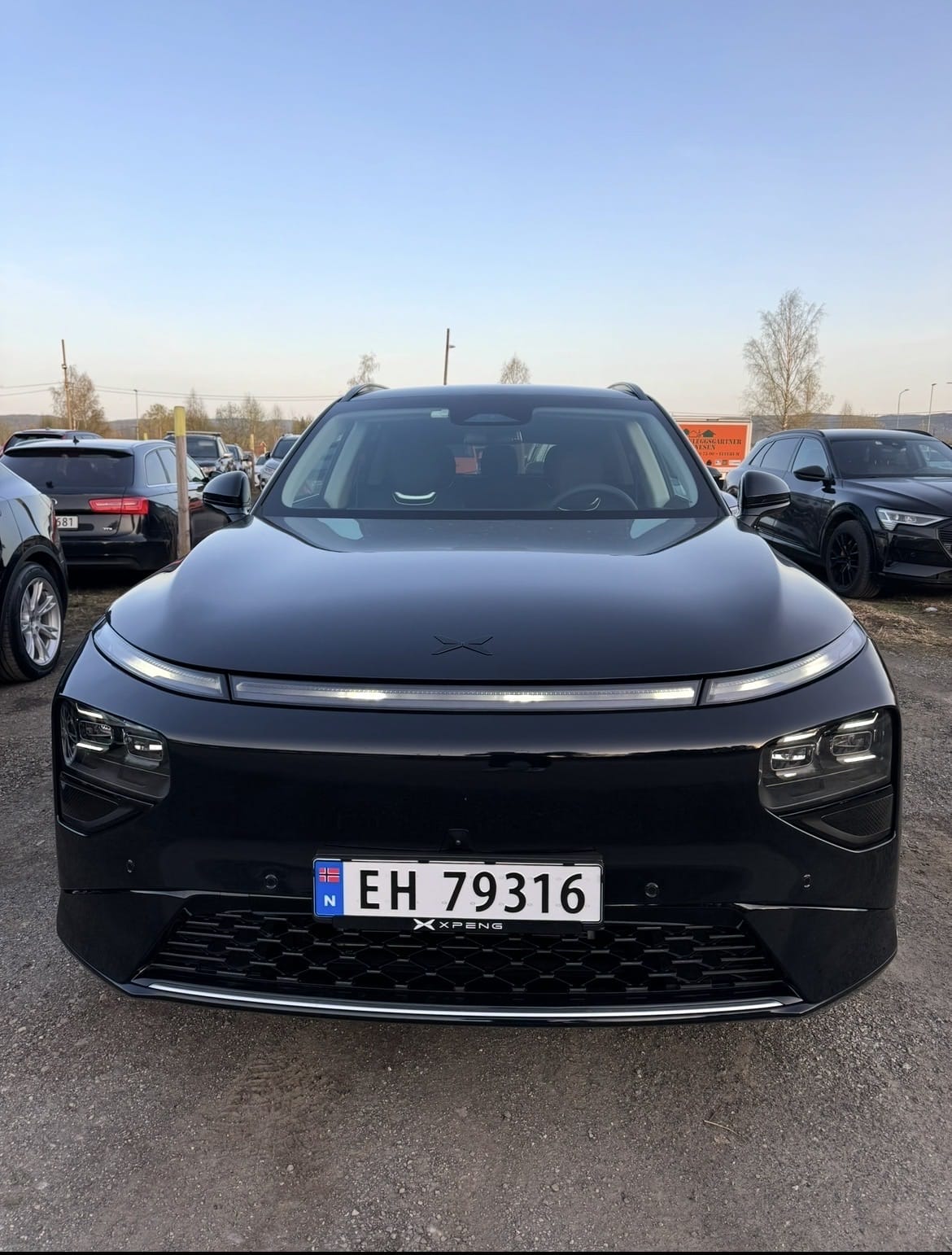 Xpeng G9 AWD Performance, 2024, Elektrisk, automatisk