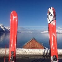 Steinar