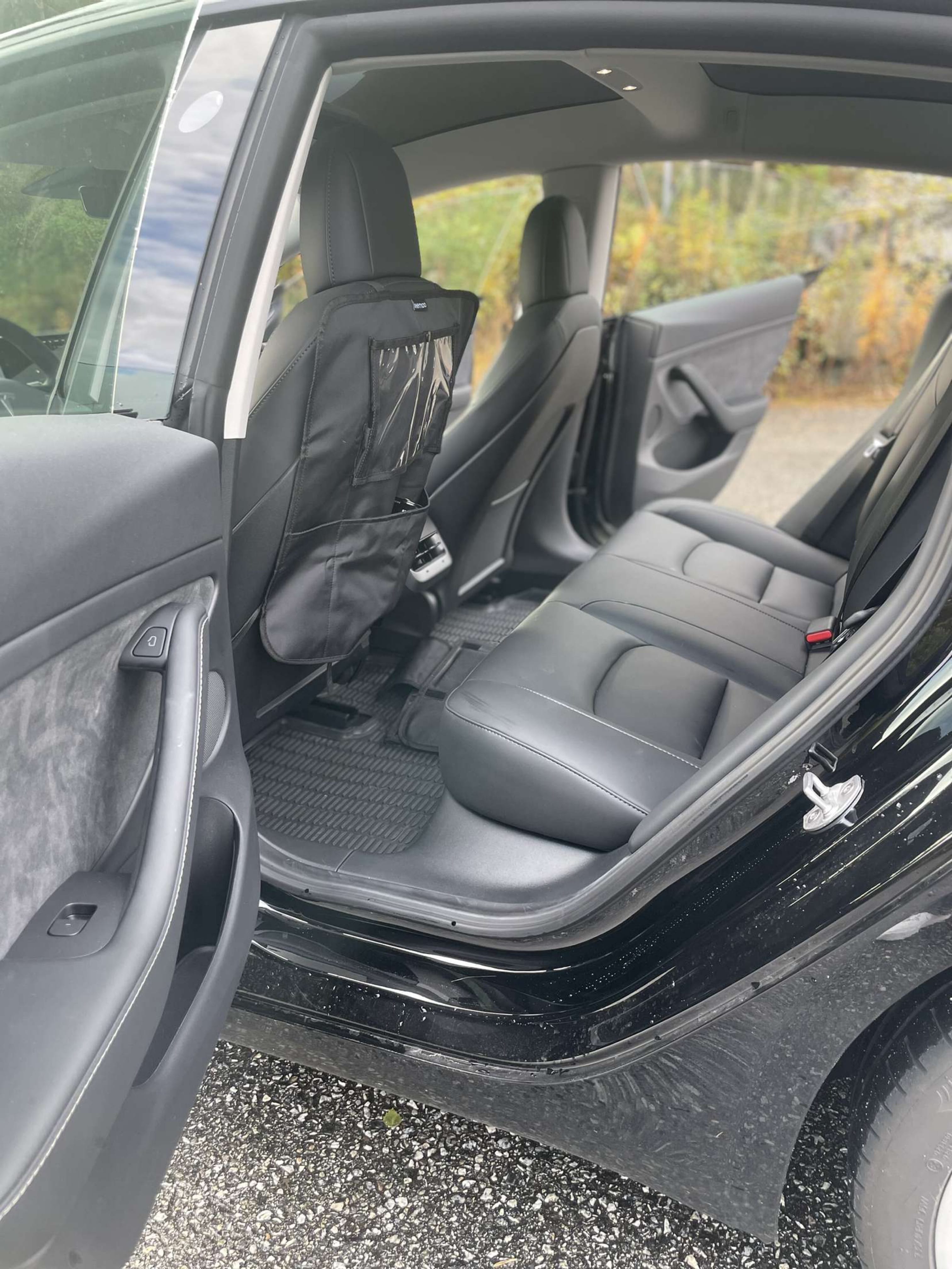 Tesla Model 3 Long Range med Bluetooth audio