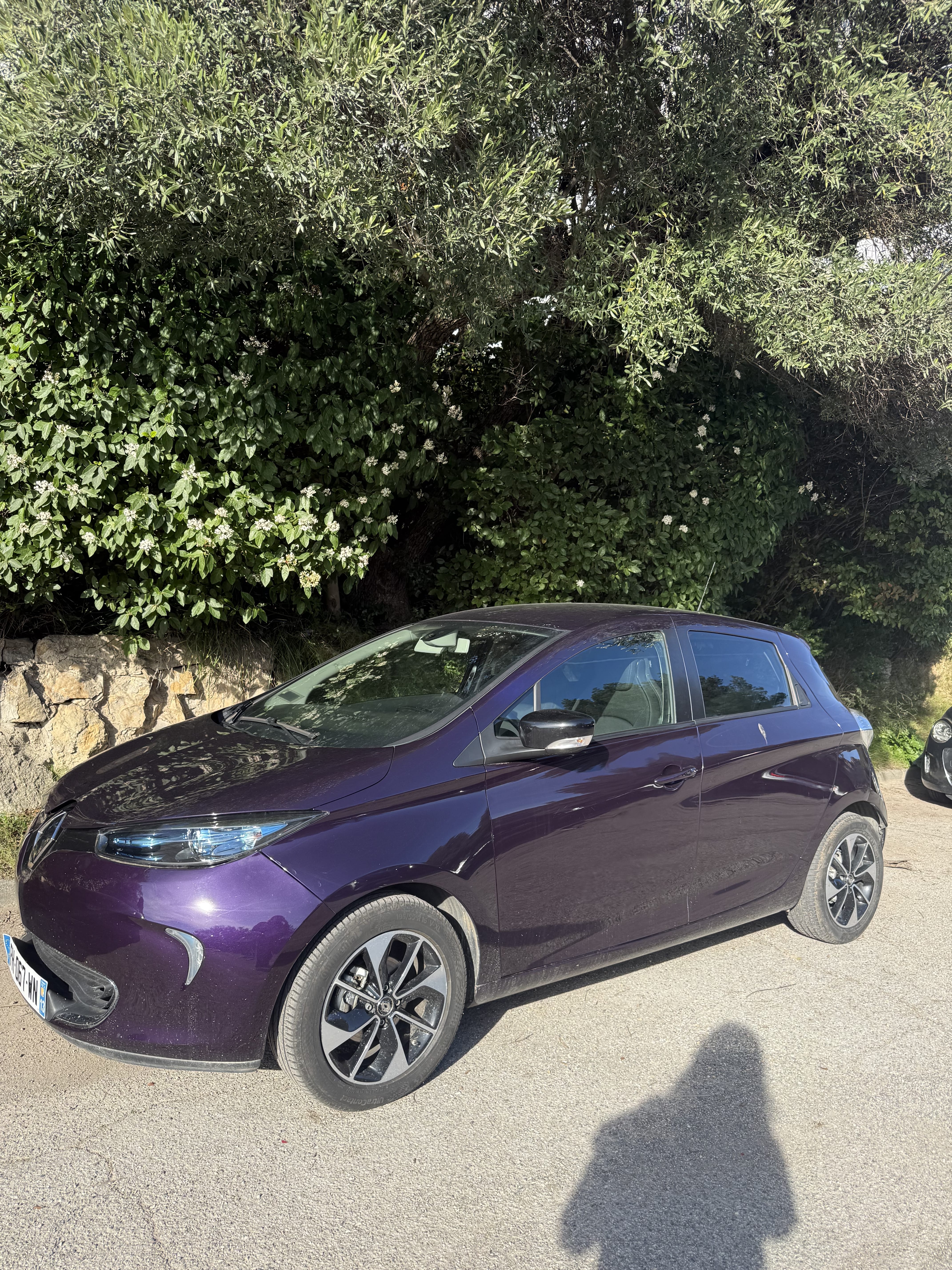 Renault ZOE, 2019, Électrique, automatique