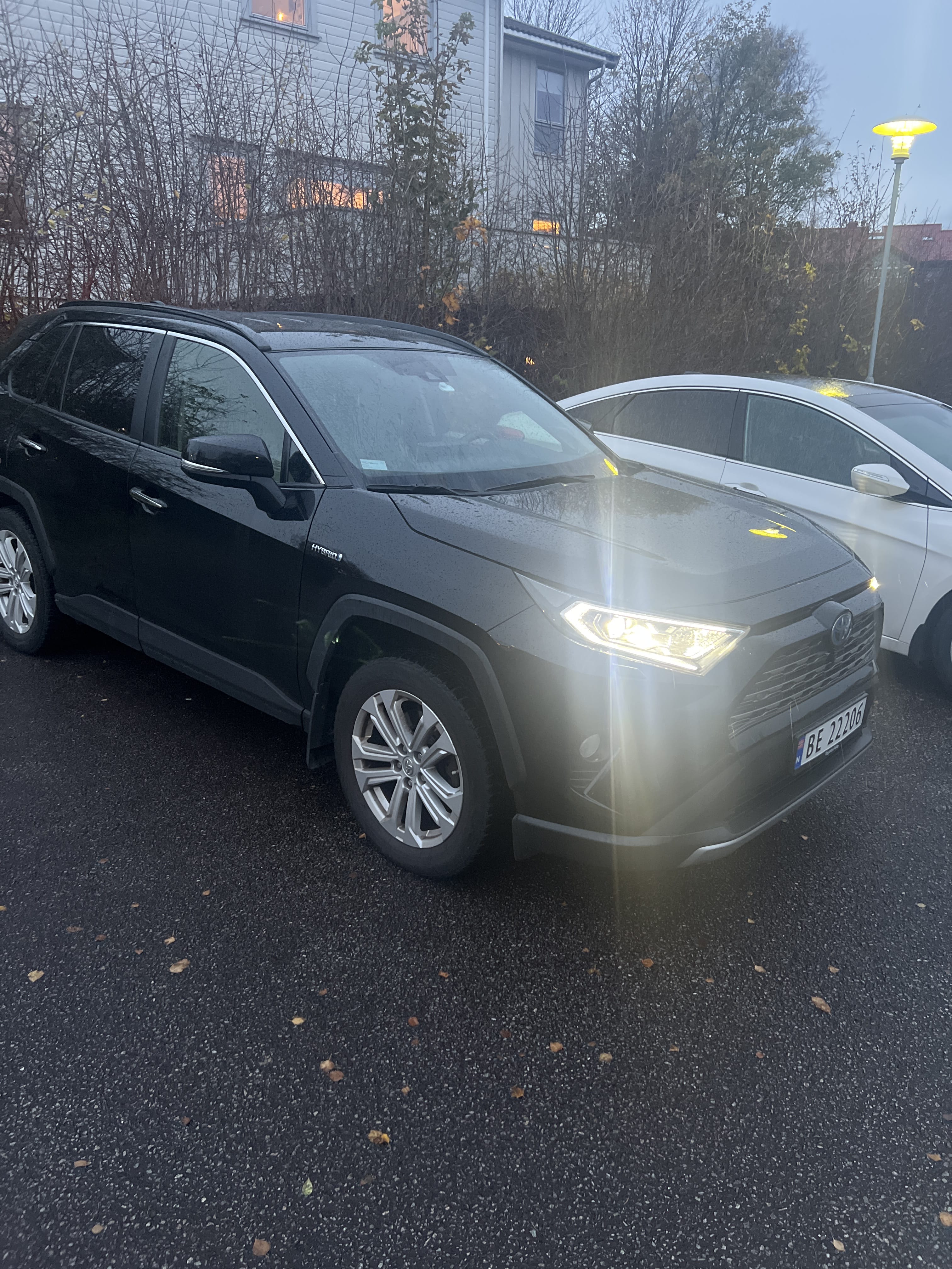Toyota Rav4 Hybrid, 2019, Blyfri 95 / Electric (hybrid), automatic