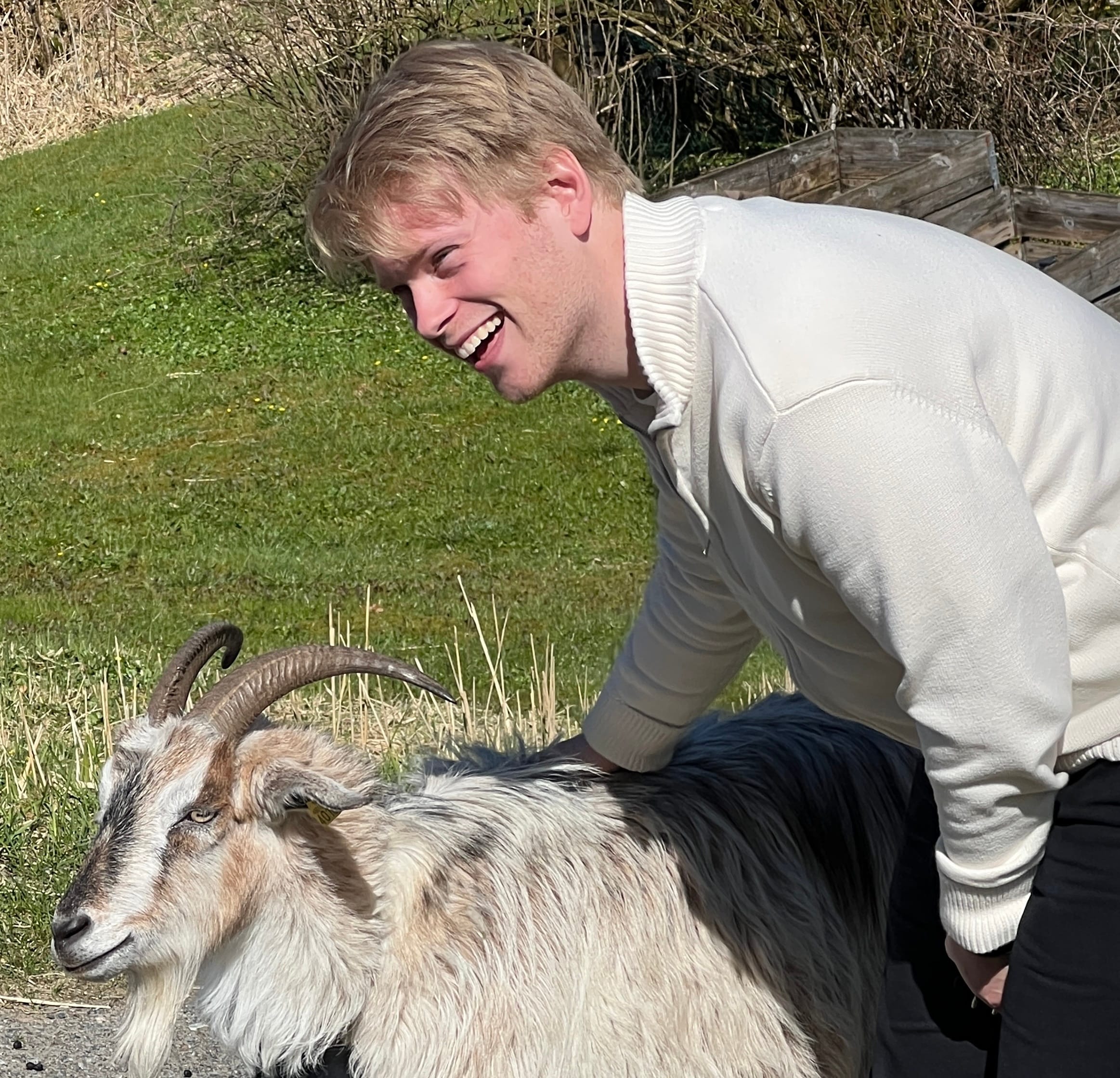 Karsten