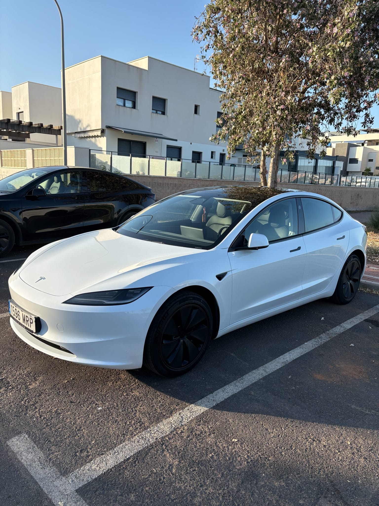 Tesla Model 3 Standard Range Plus, 2024, Eléctrico, Automático