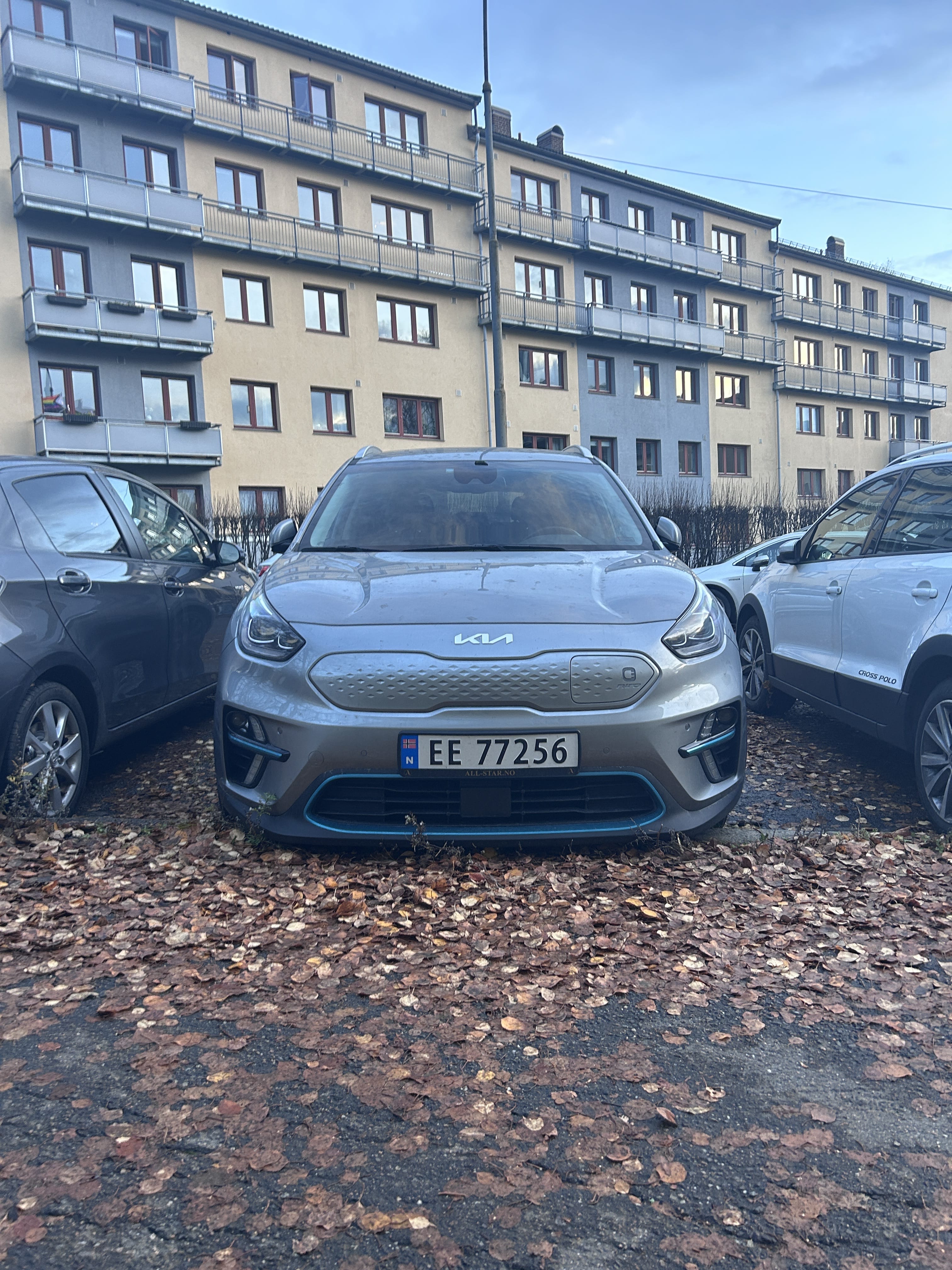 Kia e-Niro med Bluetooth audio