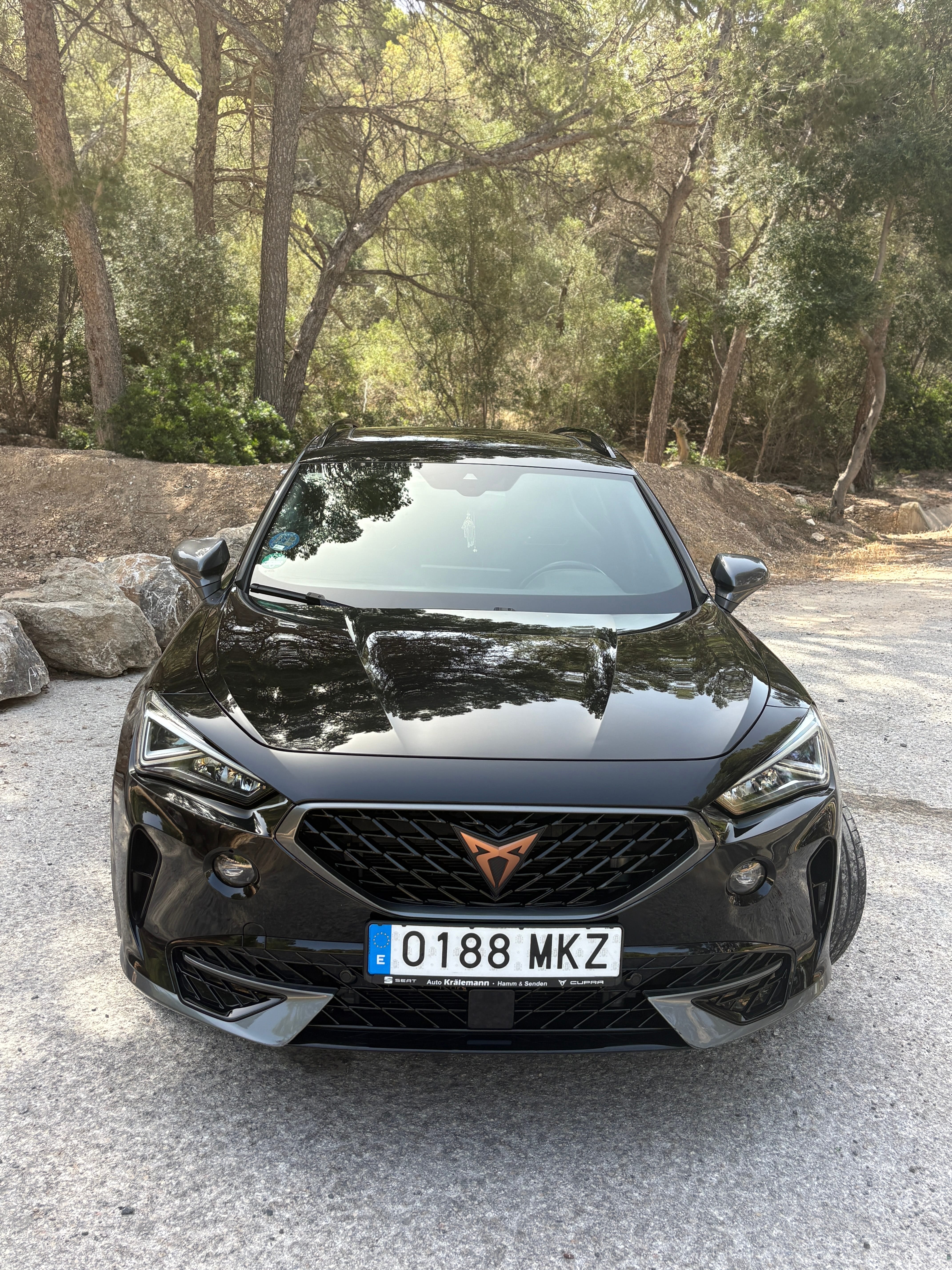 Cupra Formentor med Ryggekamera