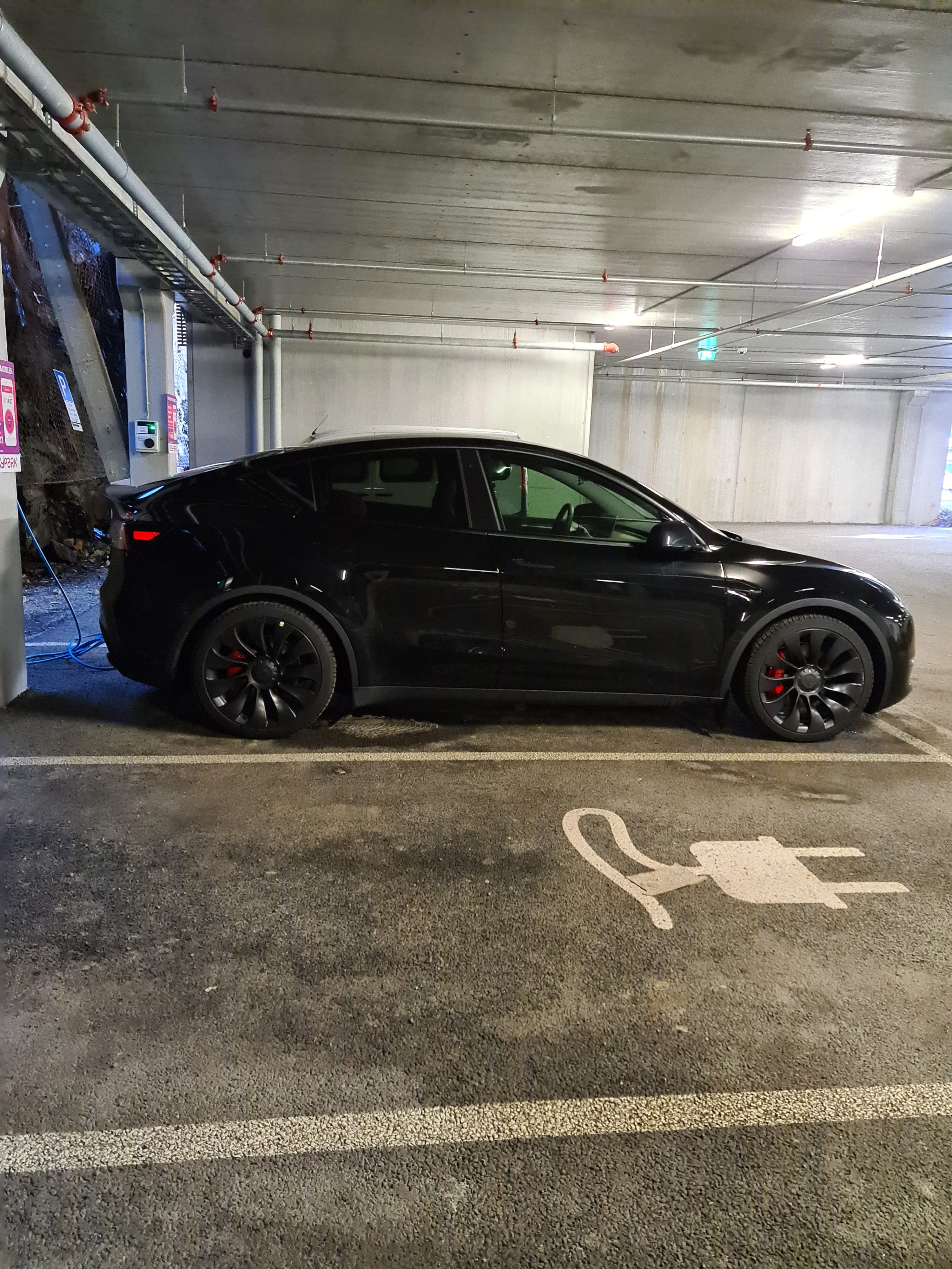 Tesla Model Y, 2022, Elektrisk, automatisk