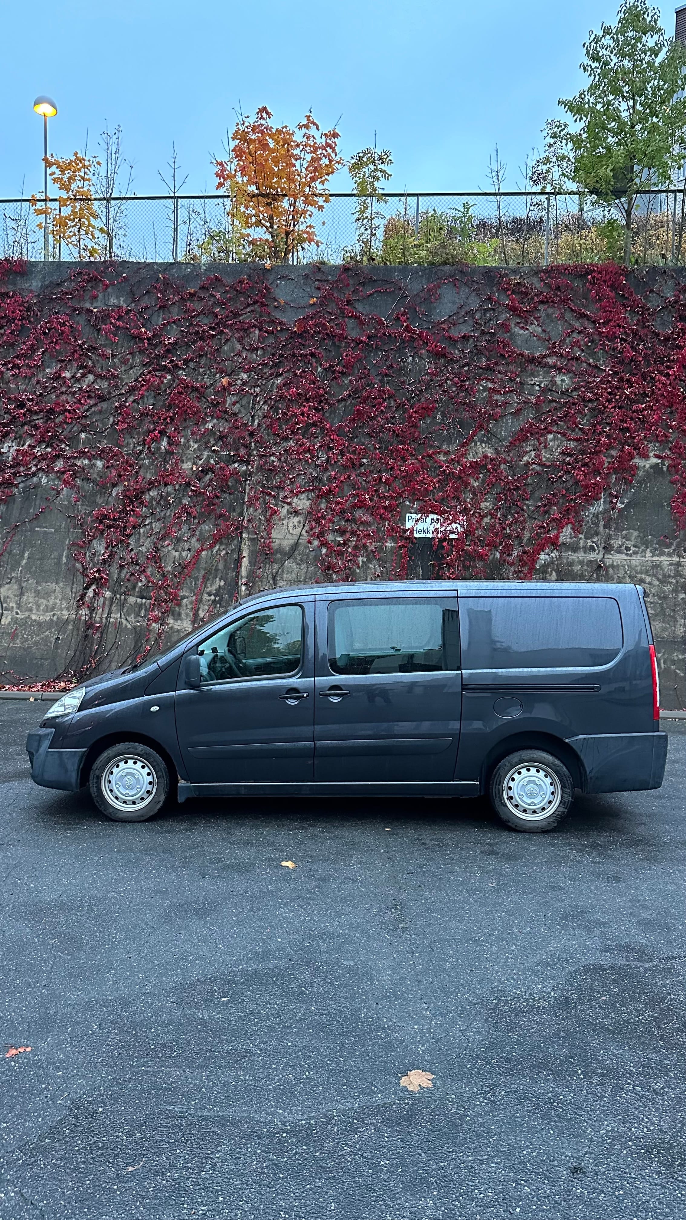 Toyota Proace Varebil mit Tempomat