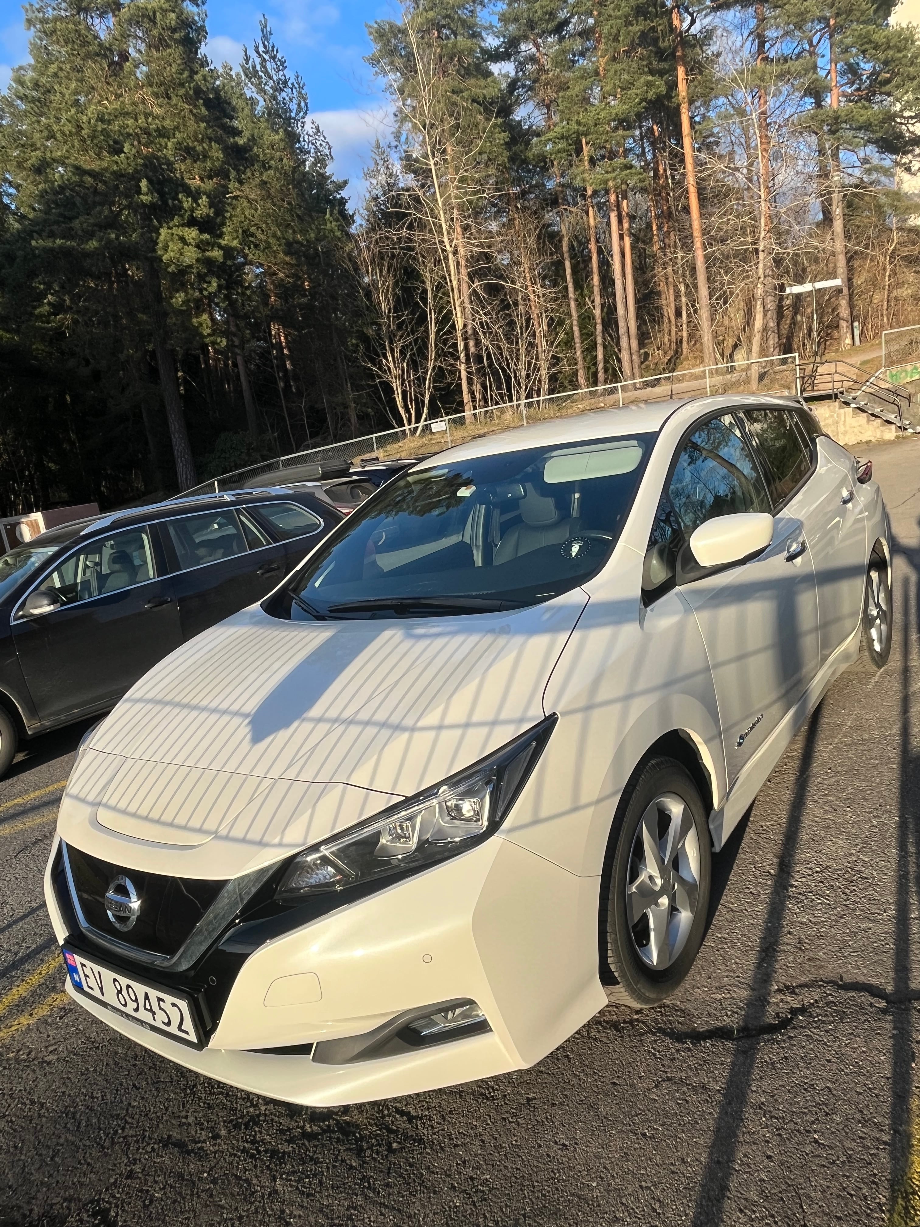 Nissan Leaf med Lydinngang