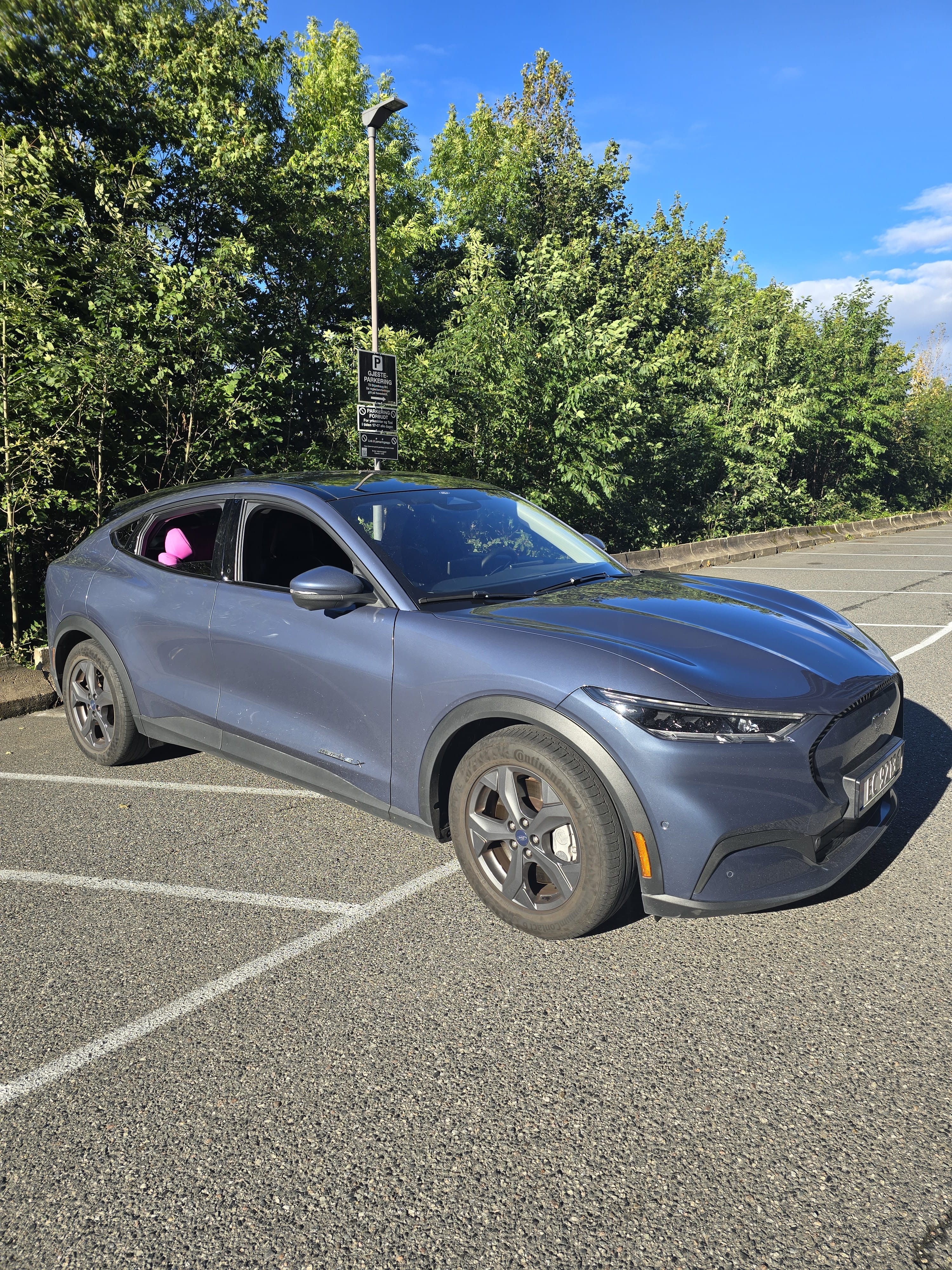 Ford Mustang Mach-E, 2021, Elektrisk, automatisk