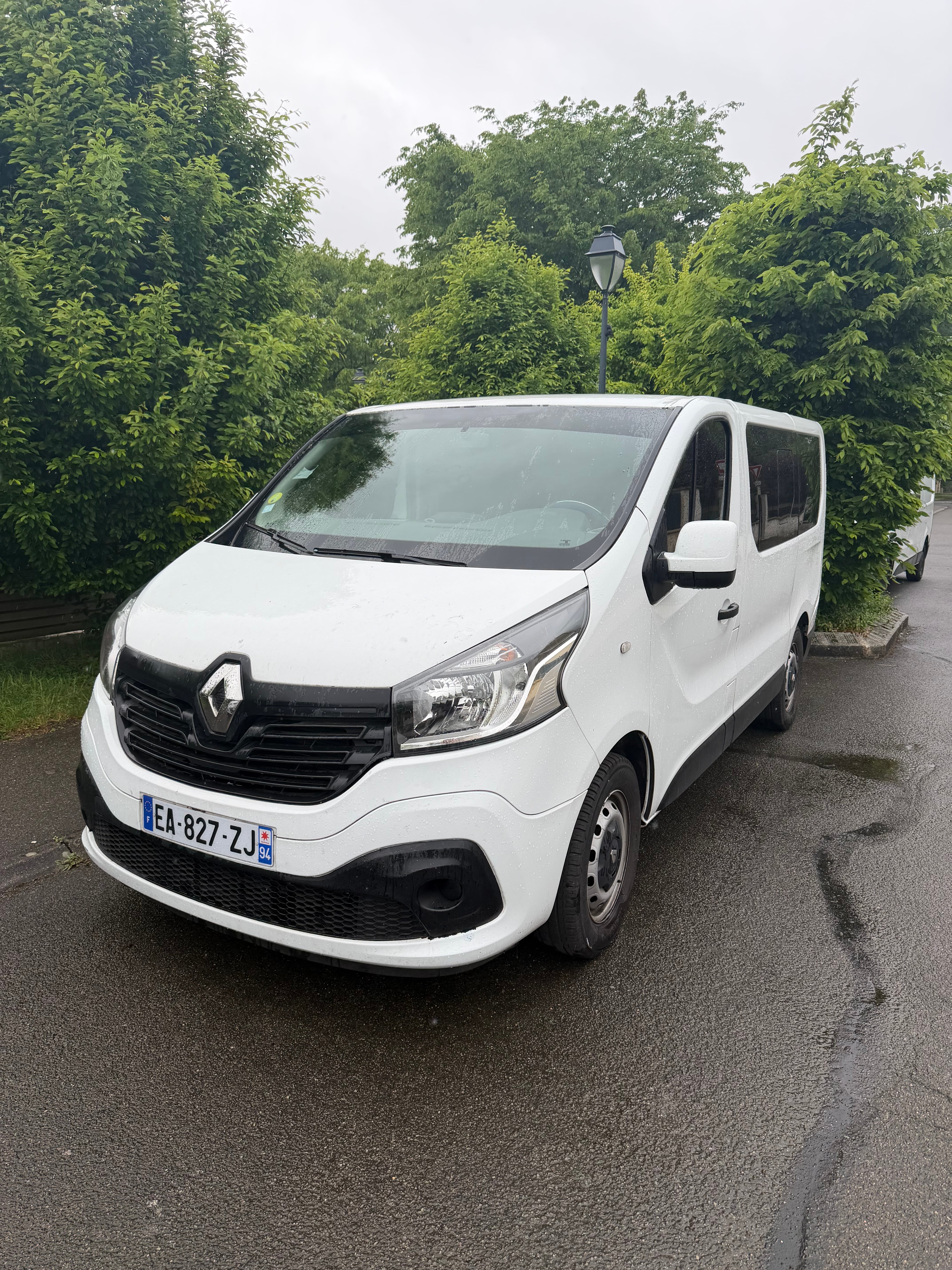 Renault Trafic Passenger, 2016, Diesel, 9 places et plus