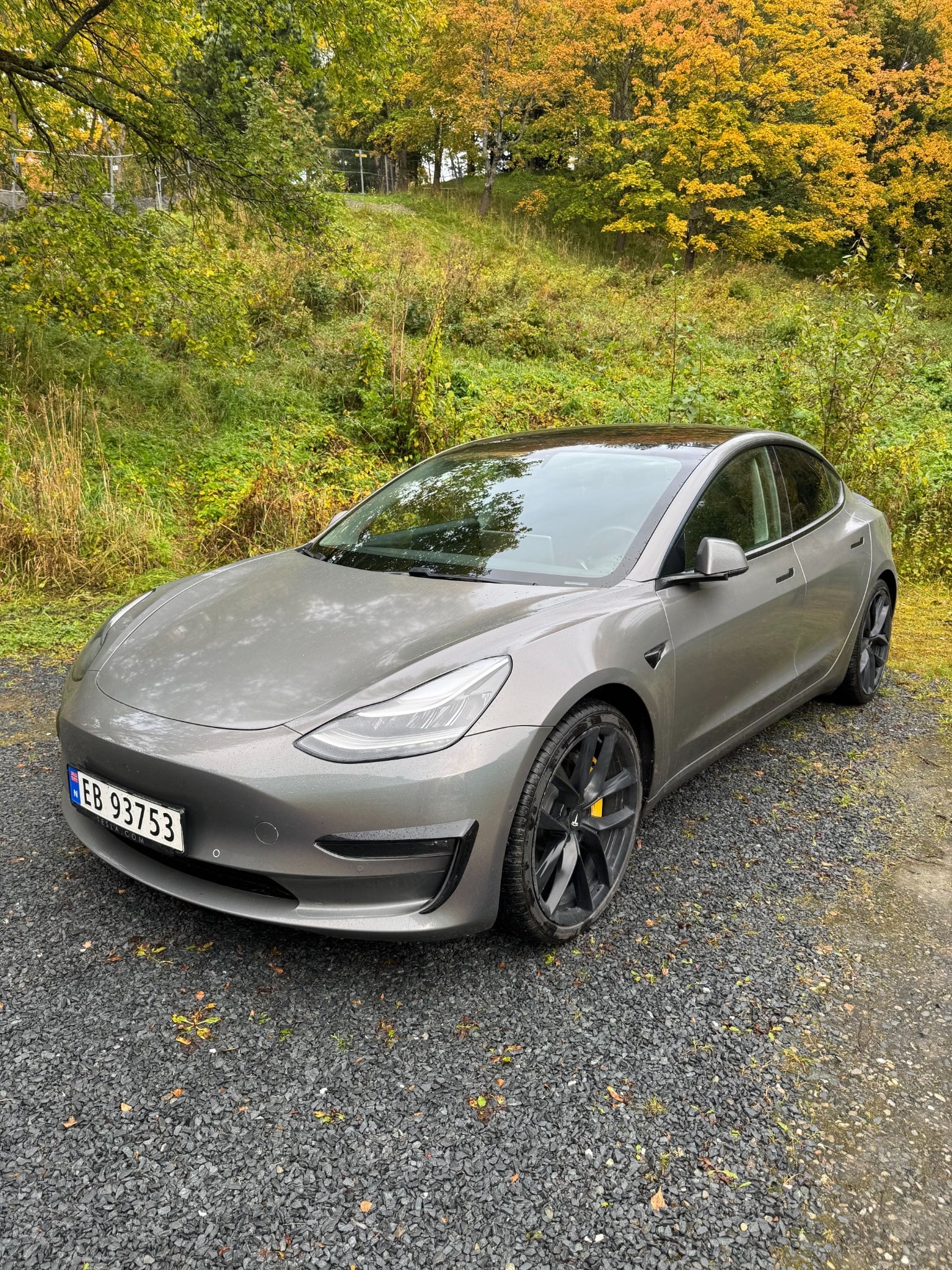 Tesla Model 3 Long Range, 2020, Elektrisk, automatisk