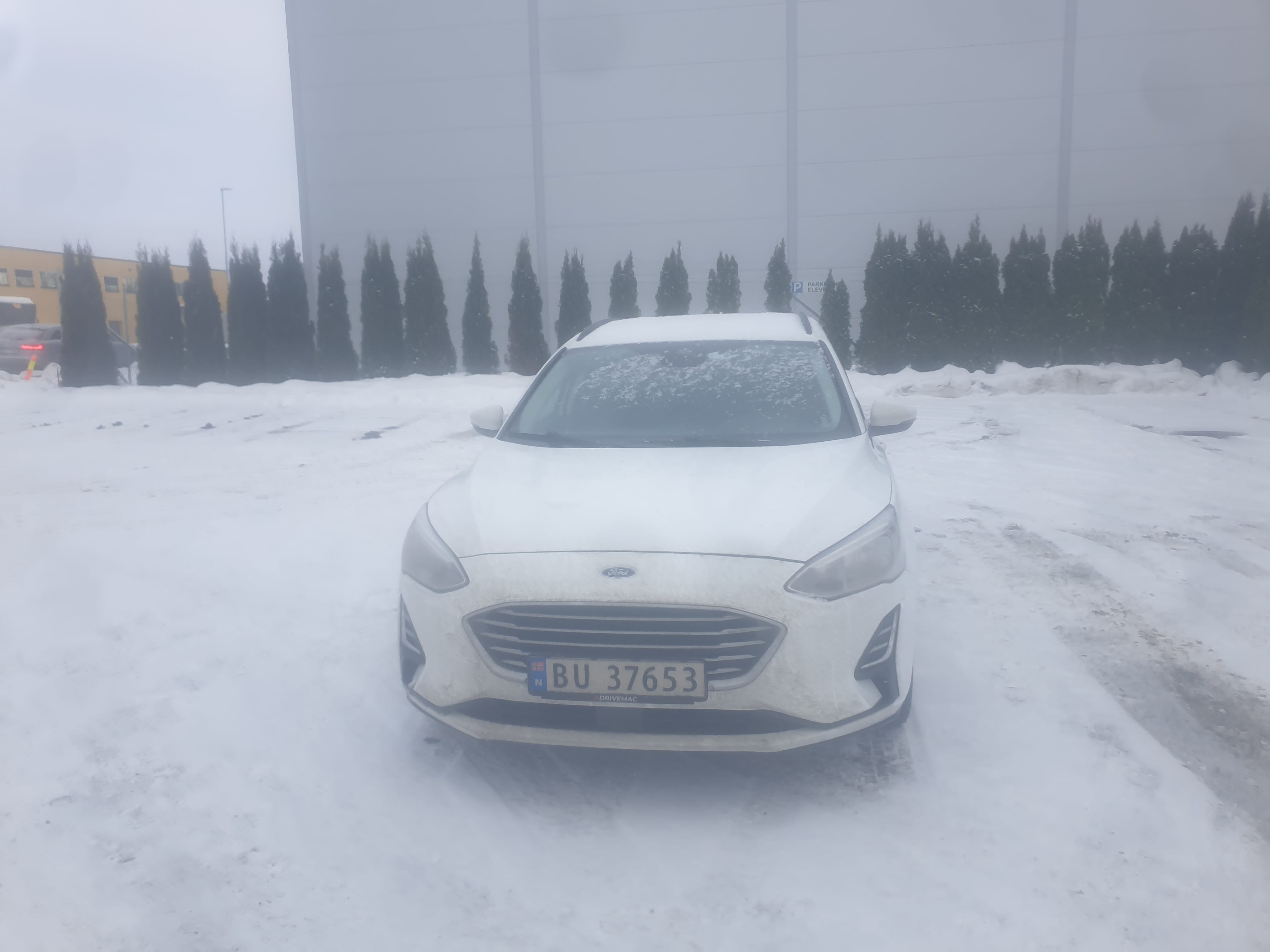 Ford Focus, 2019, Blyfri 95