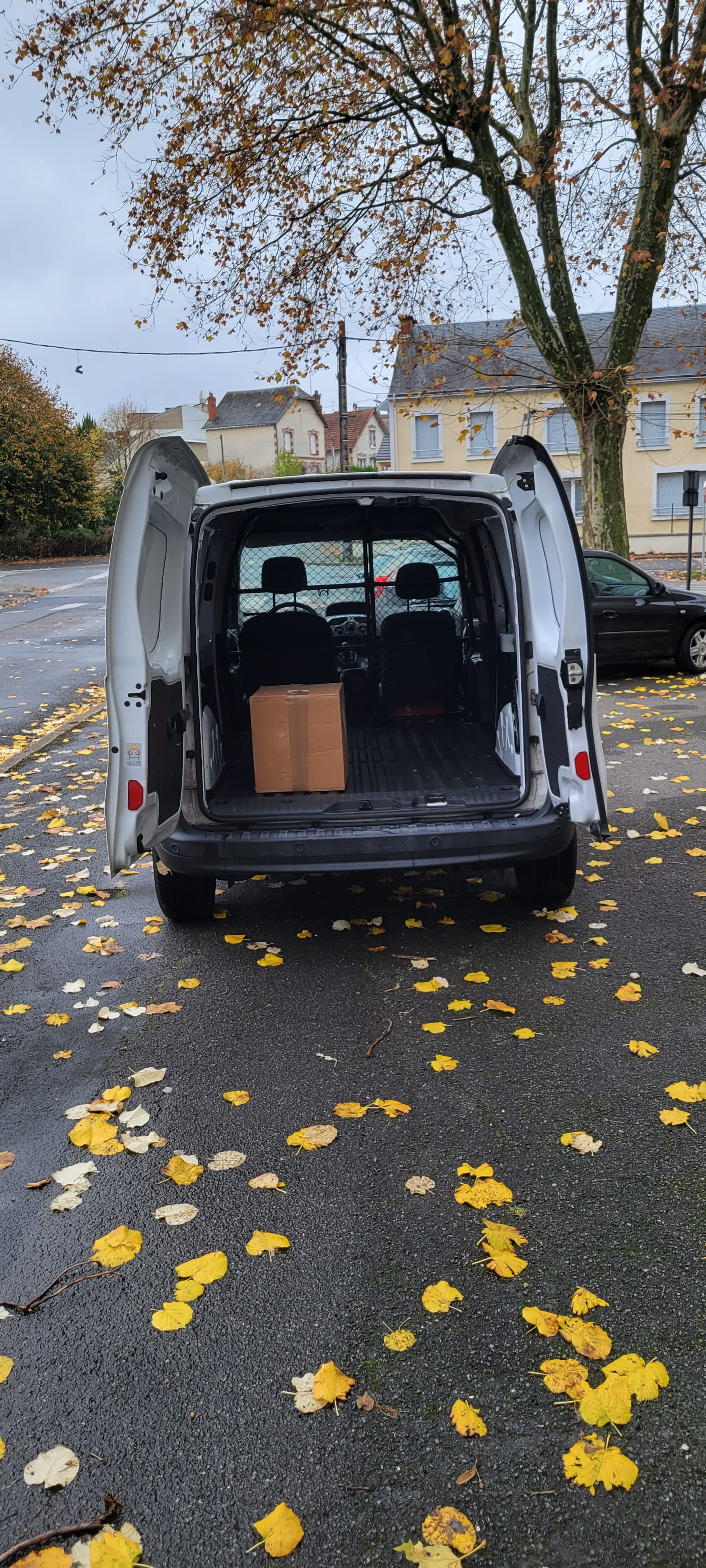 Renault Kangoo Express