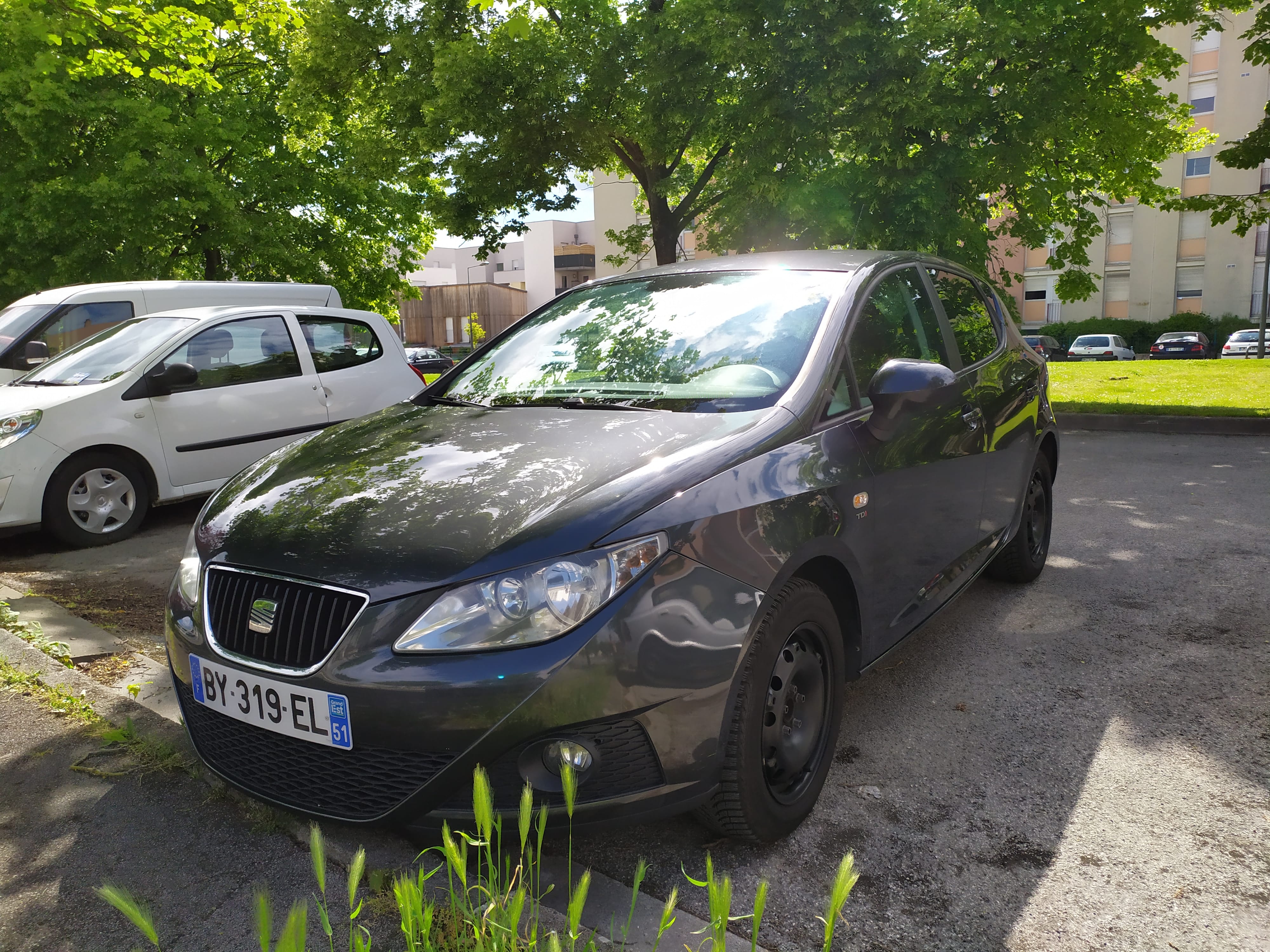 Seat Ibiza 1.6 TDI 105 Sport, 2011, Diesel