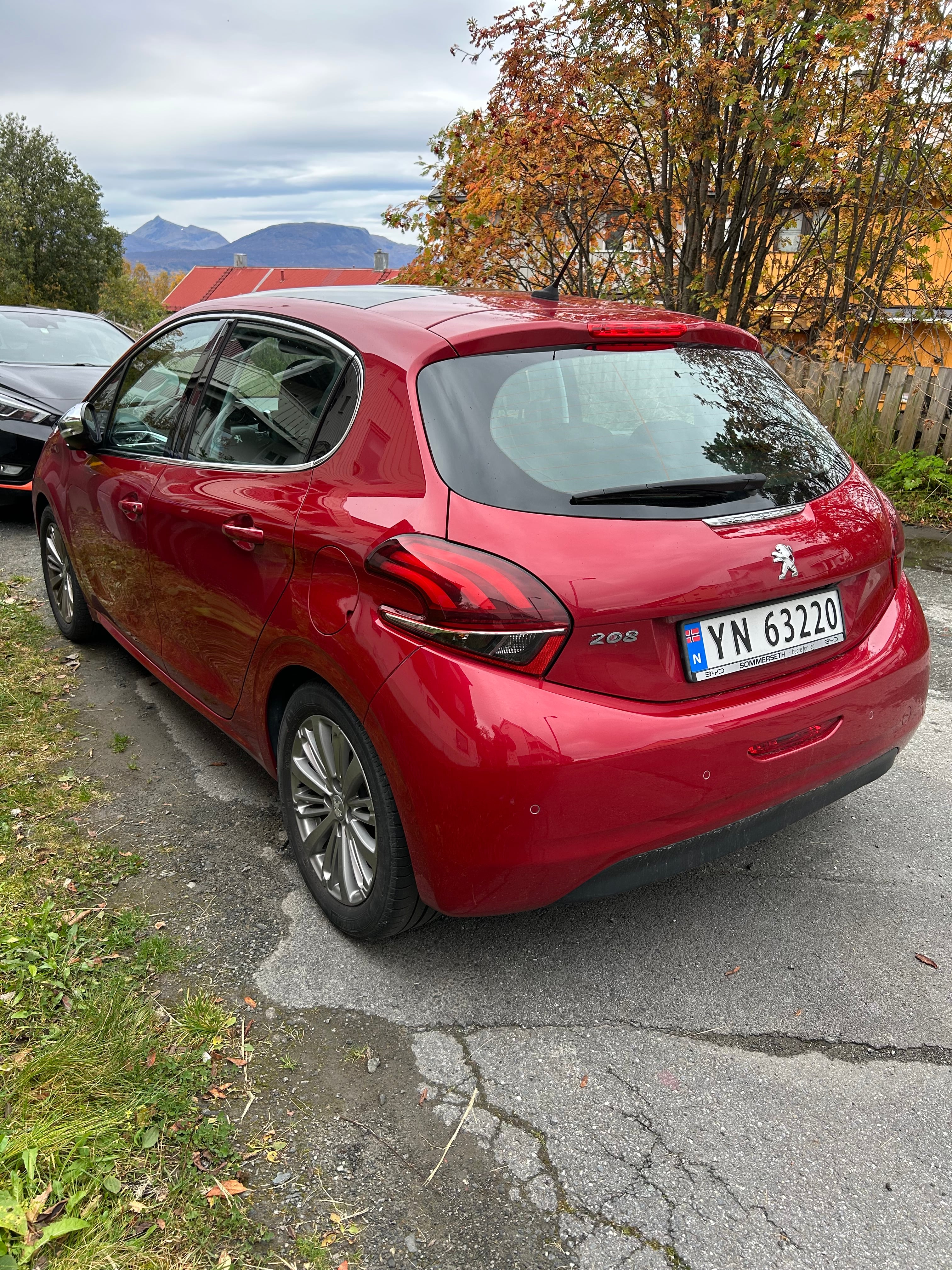 Peugeot 208, 2018, Blyfri 95