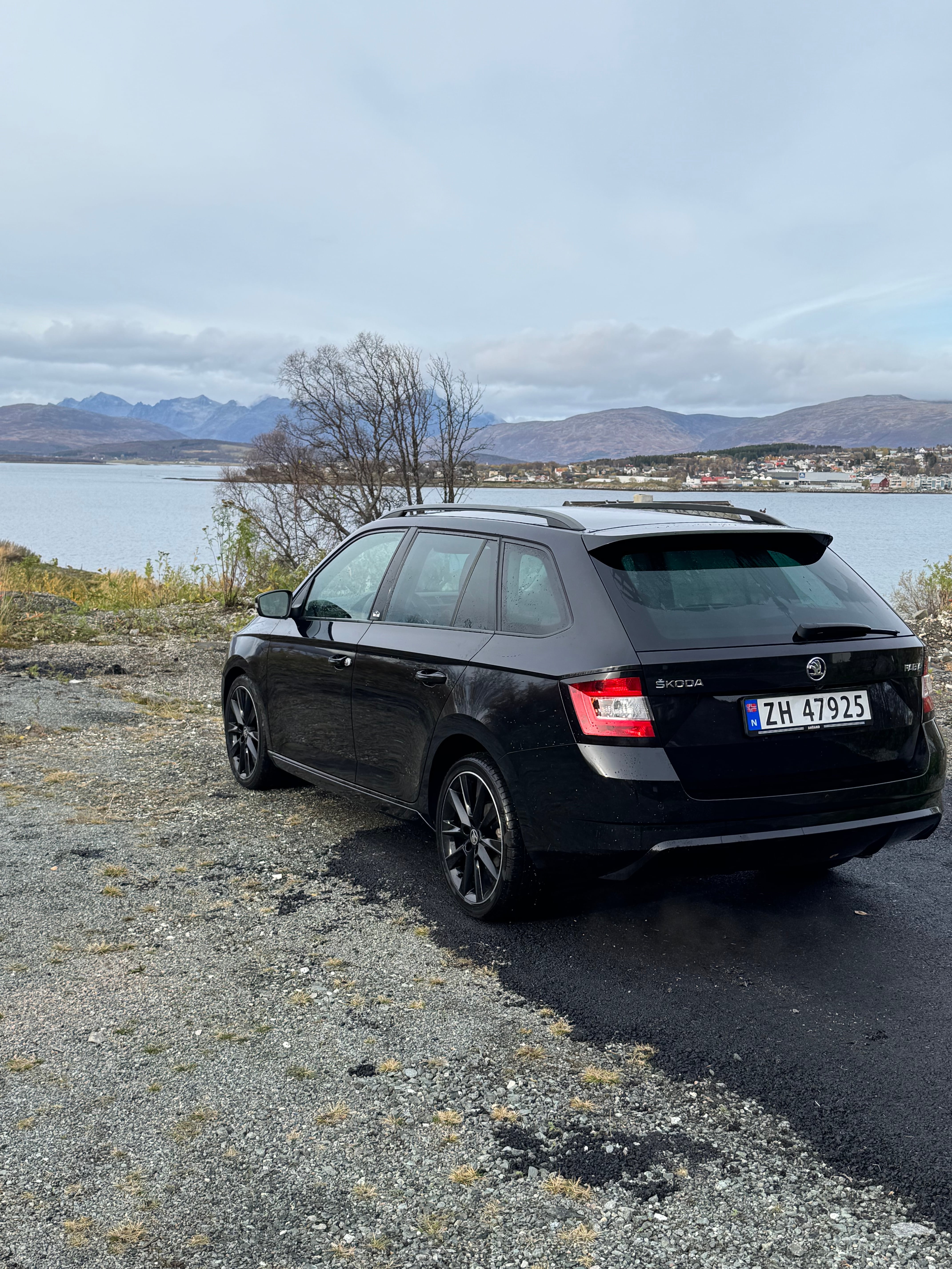 Skoda Fabia Combi mit Rückfahrkamera