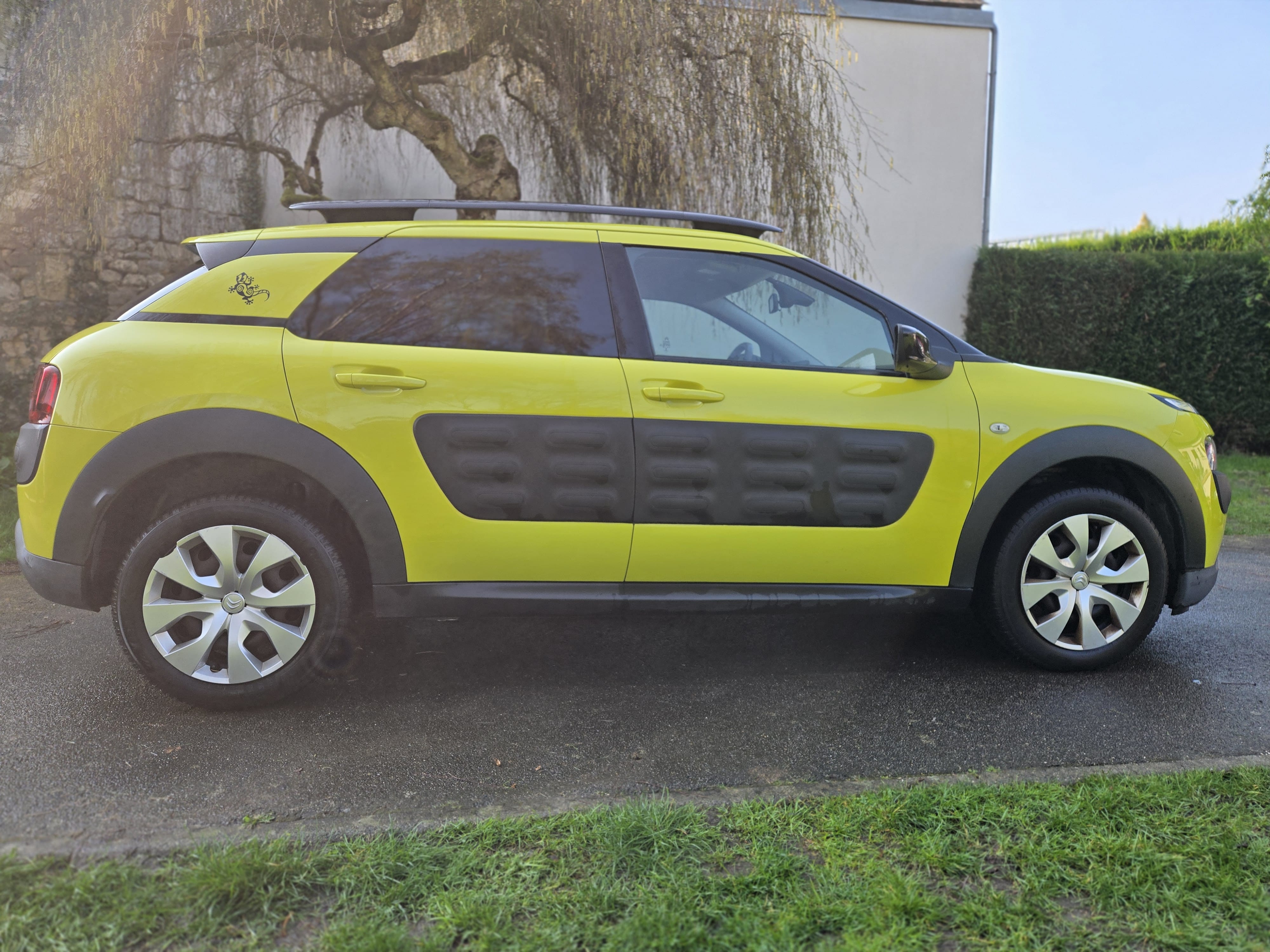 Citroen C4 Cactus avec Port USB