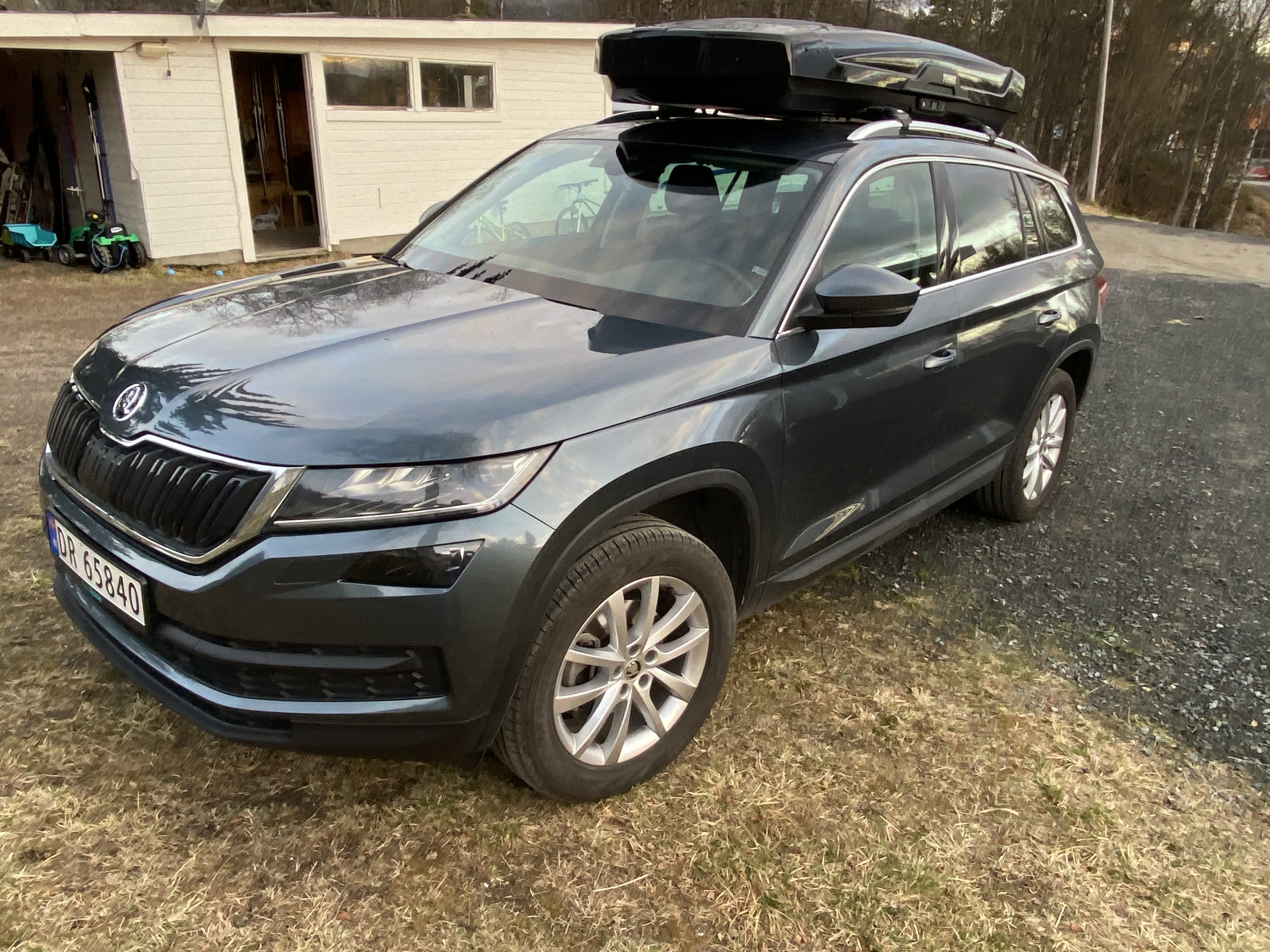 Skoda Kodiaq, 2019, Diesel, automatic, 7 seats