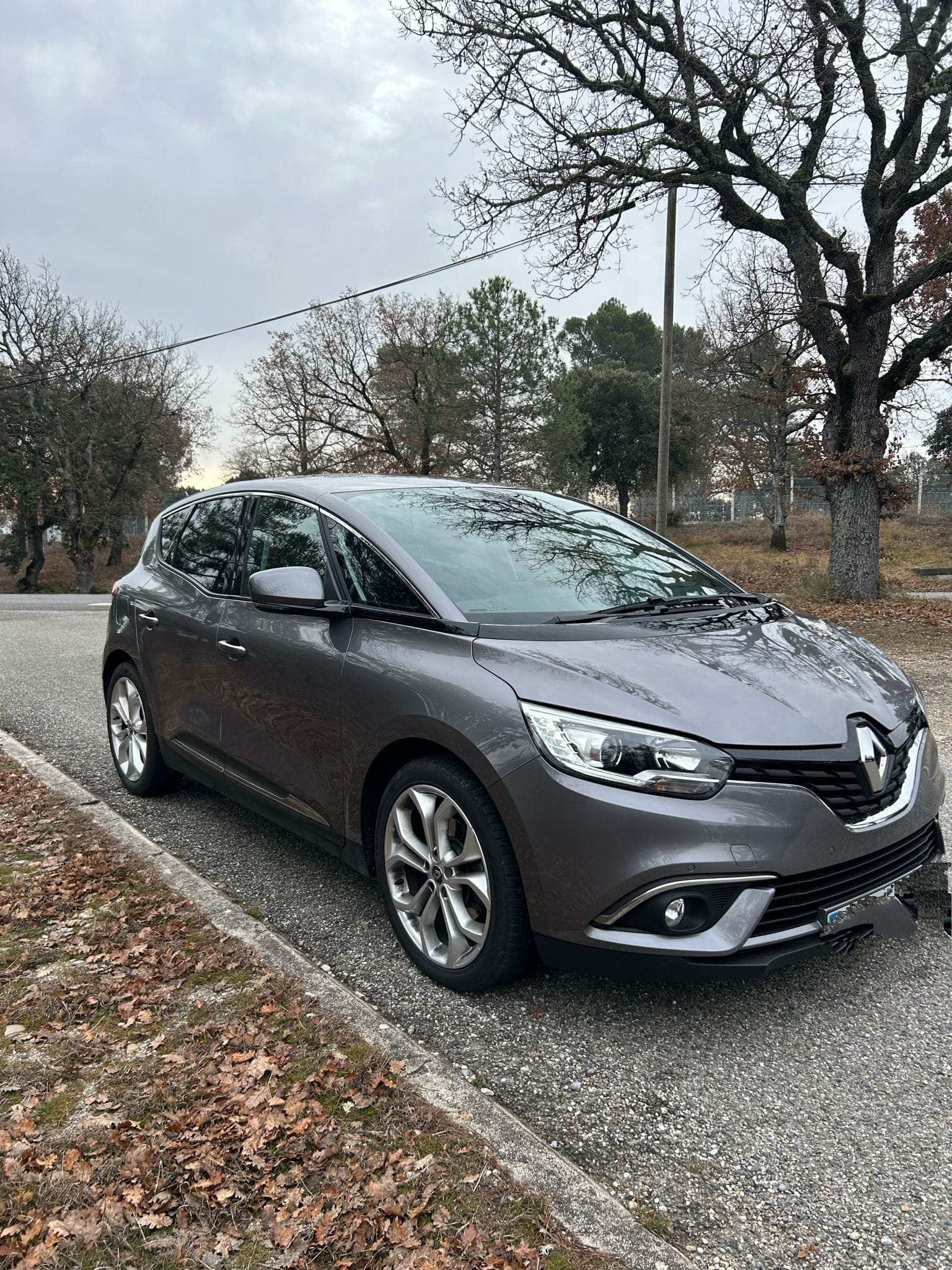Renault Scenic avec Pneus neige