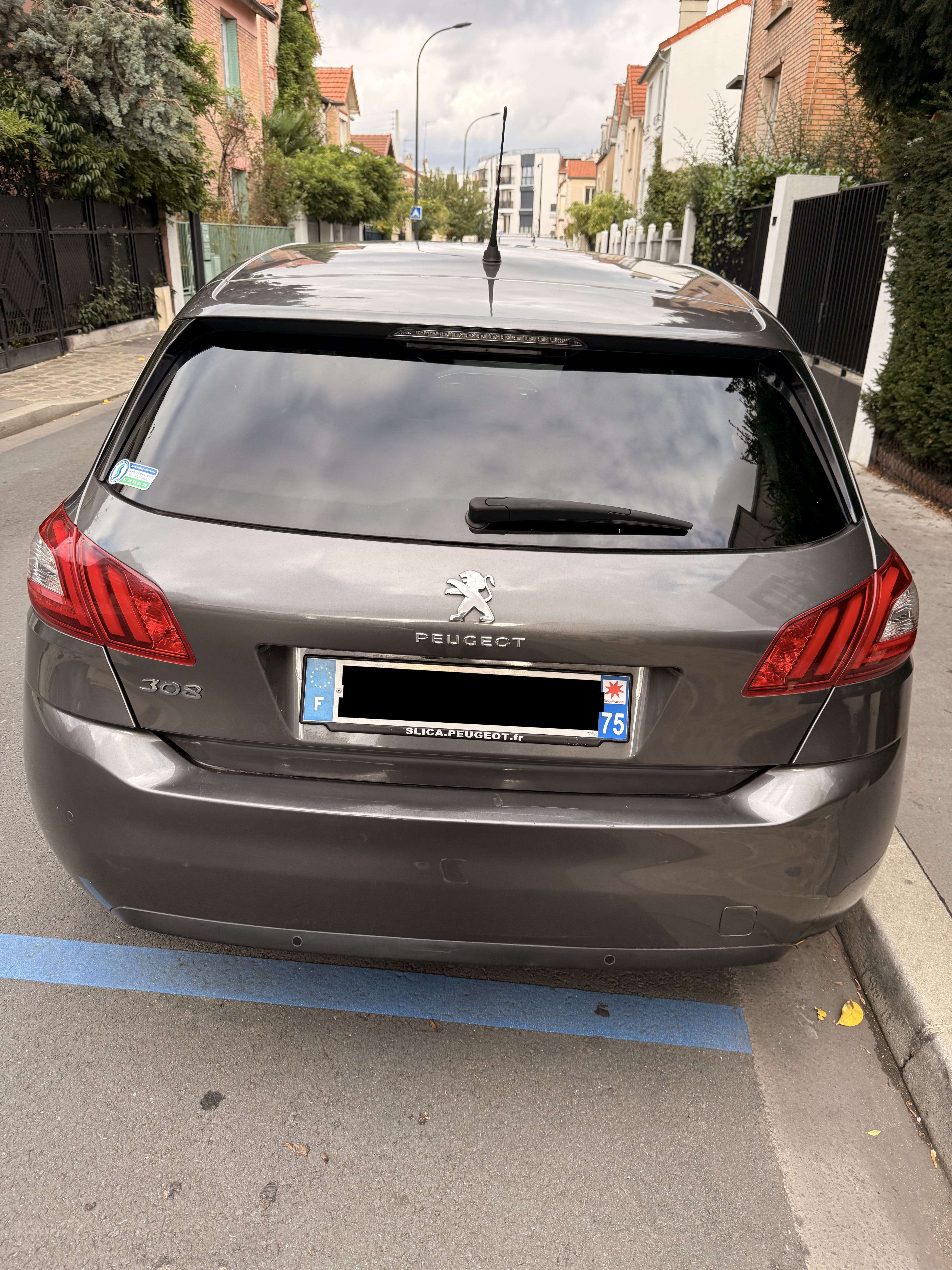 Peugeot 308 avec GPS