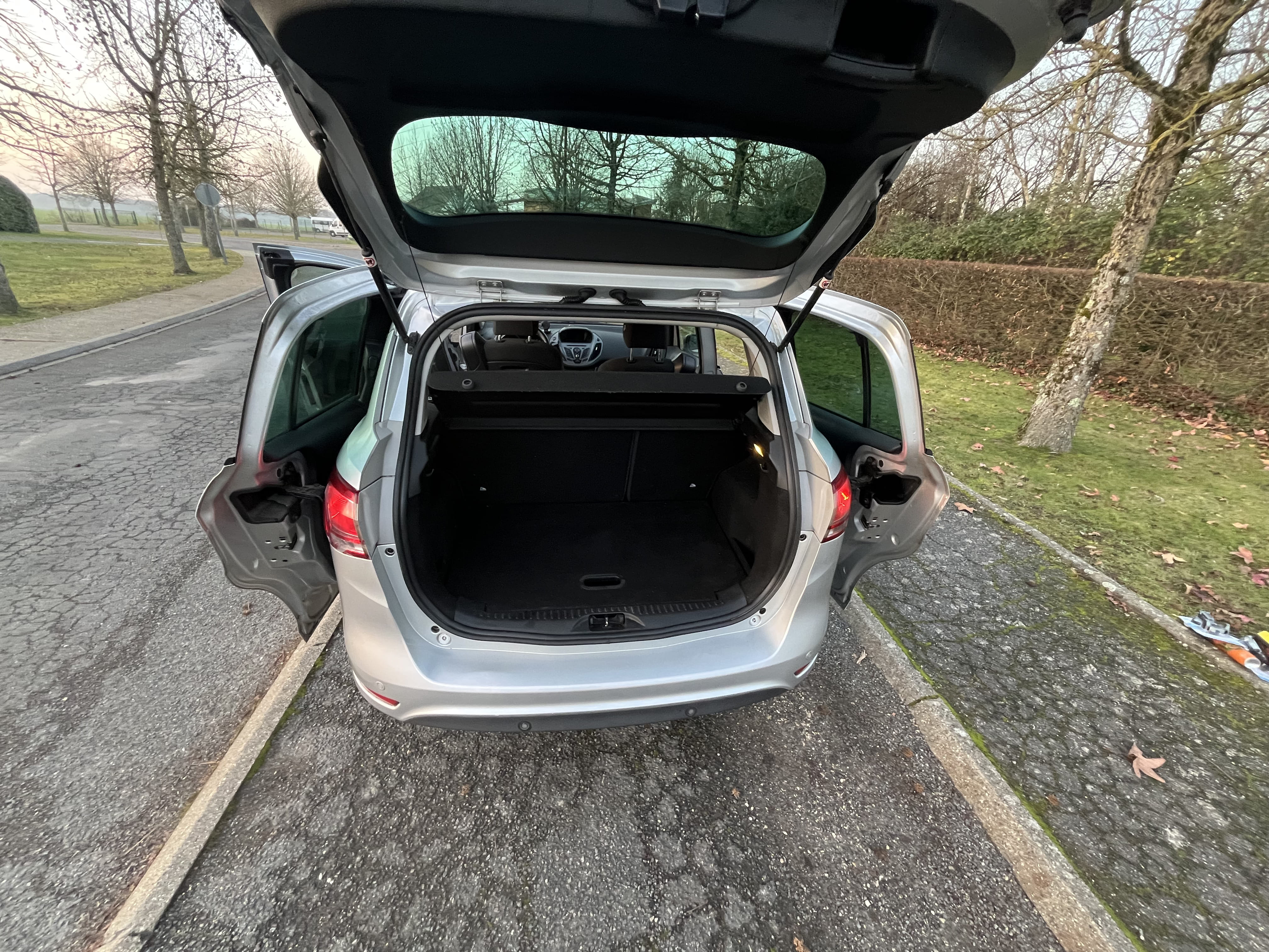 Ford B-Max
