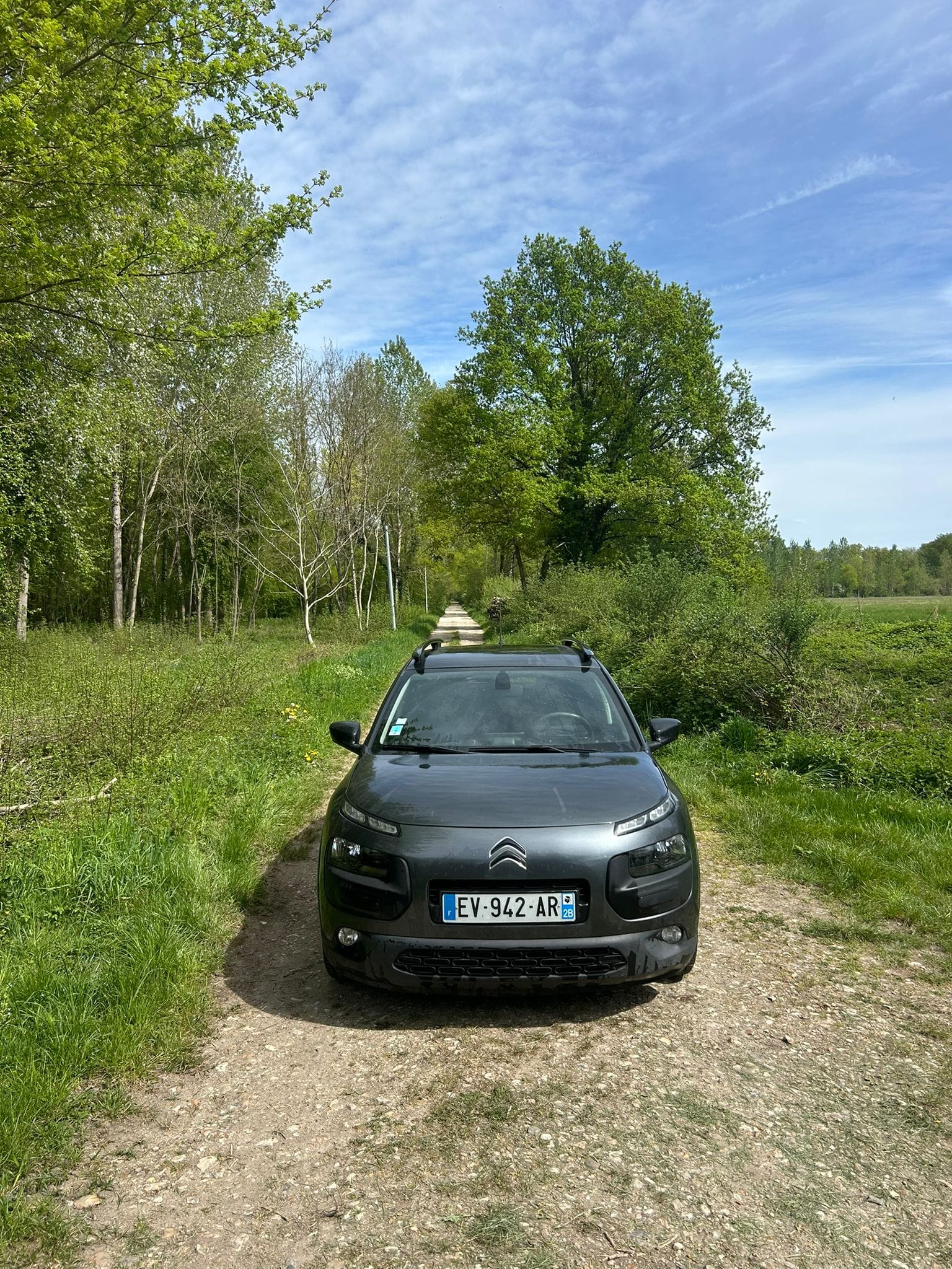 Citroen C4 Cactus avec Autoradio