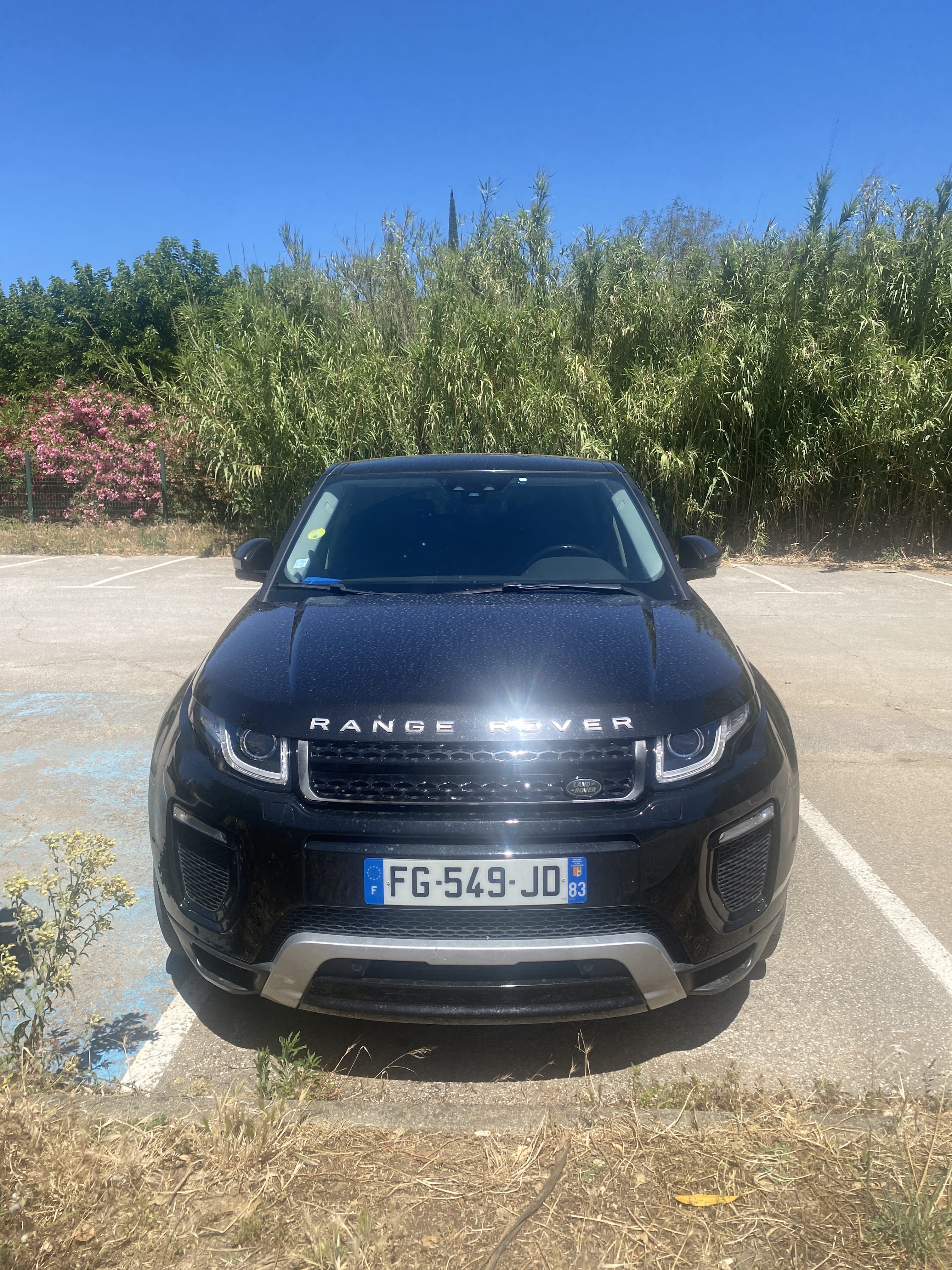 Land-Rover Range Rover Evoque, 2019, Diesel, automatique