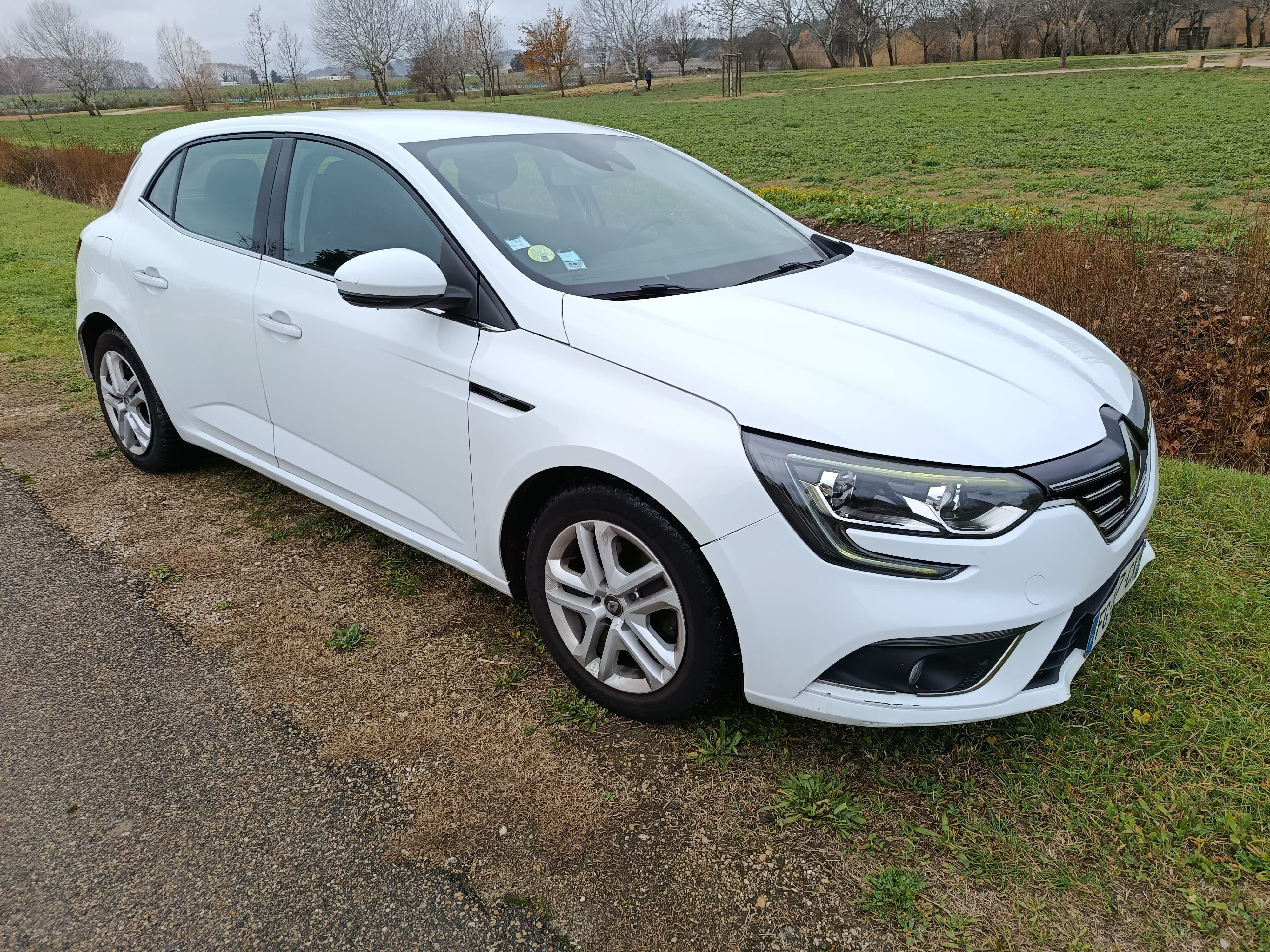 Renault Mégane IV with Cruise control