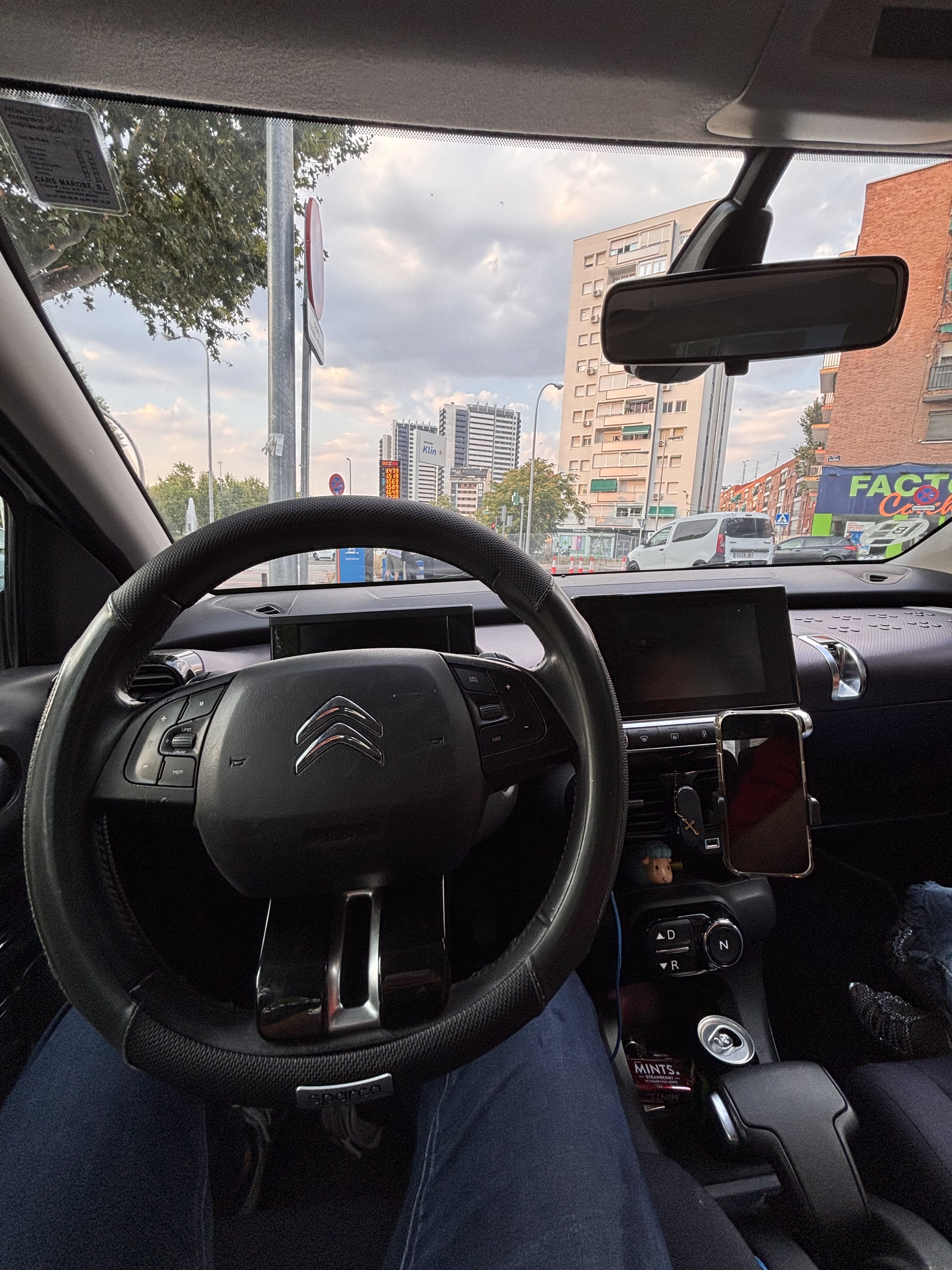 Citroen C4 Cactus con Audio Bluetooth