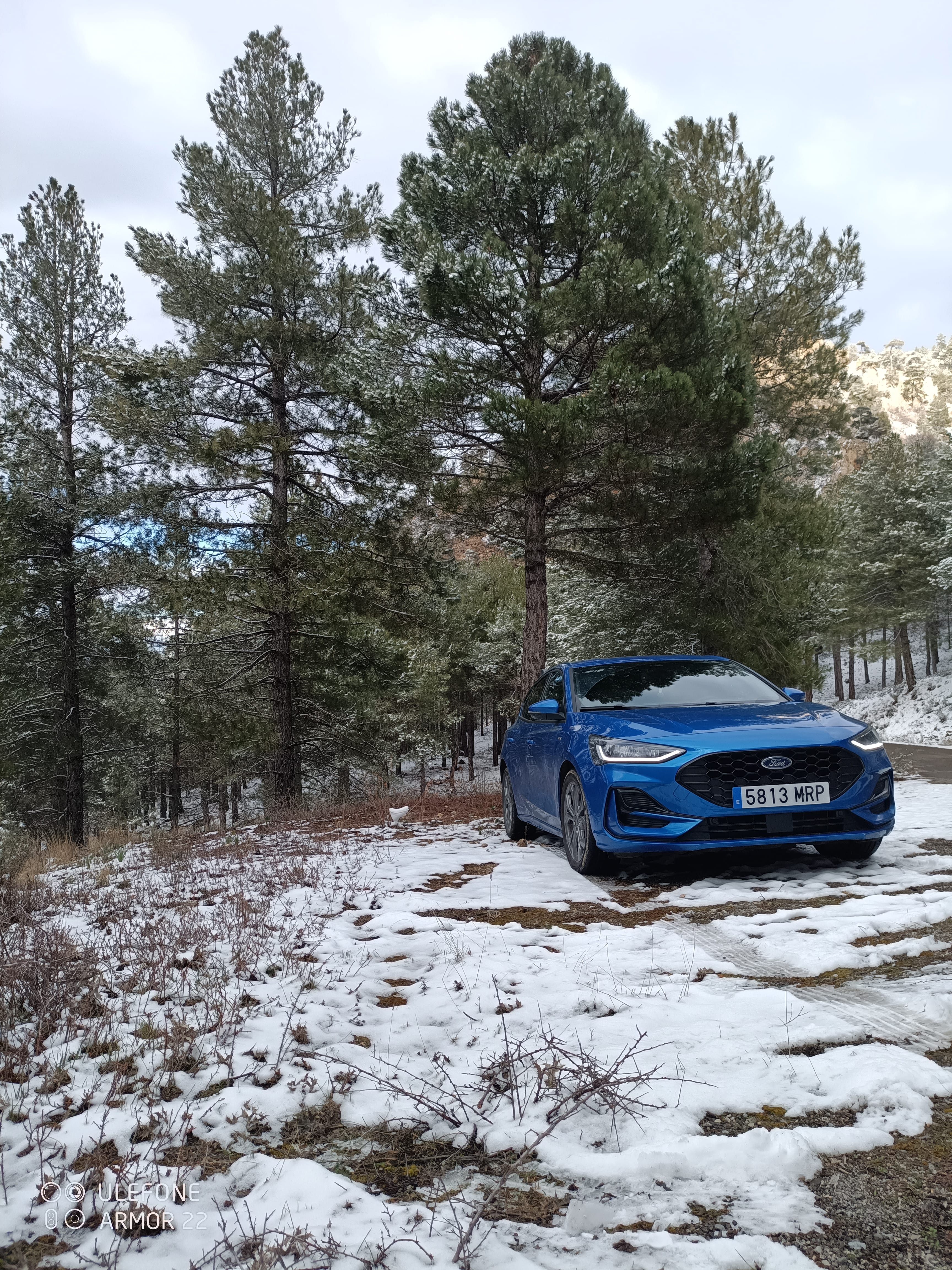 Ford Focus ST Line, 2024, Gasolina 95 / Eléctrico (híbrido)