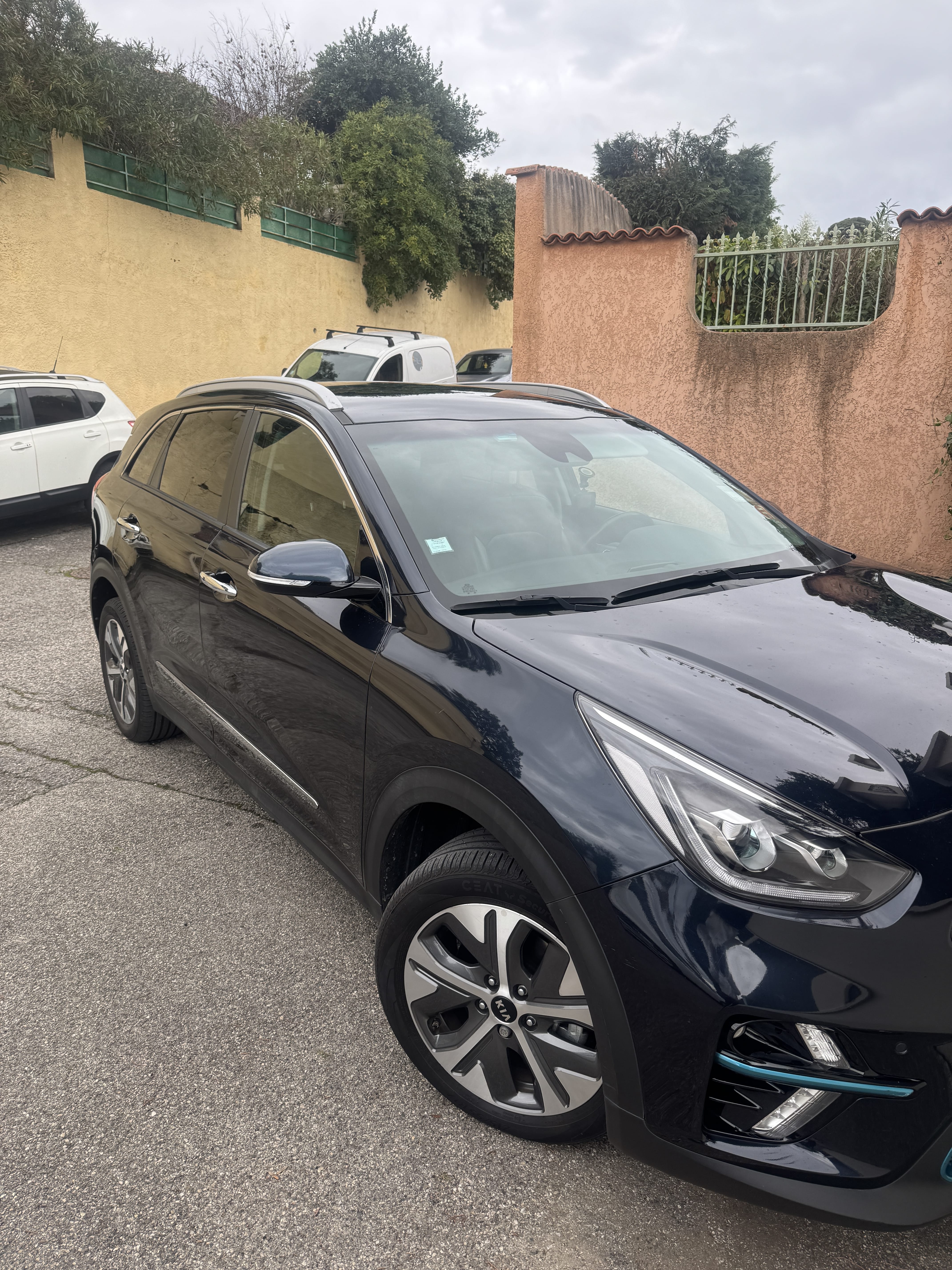 Kia e-Niro avec Climatisation
