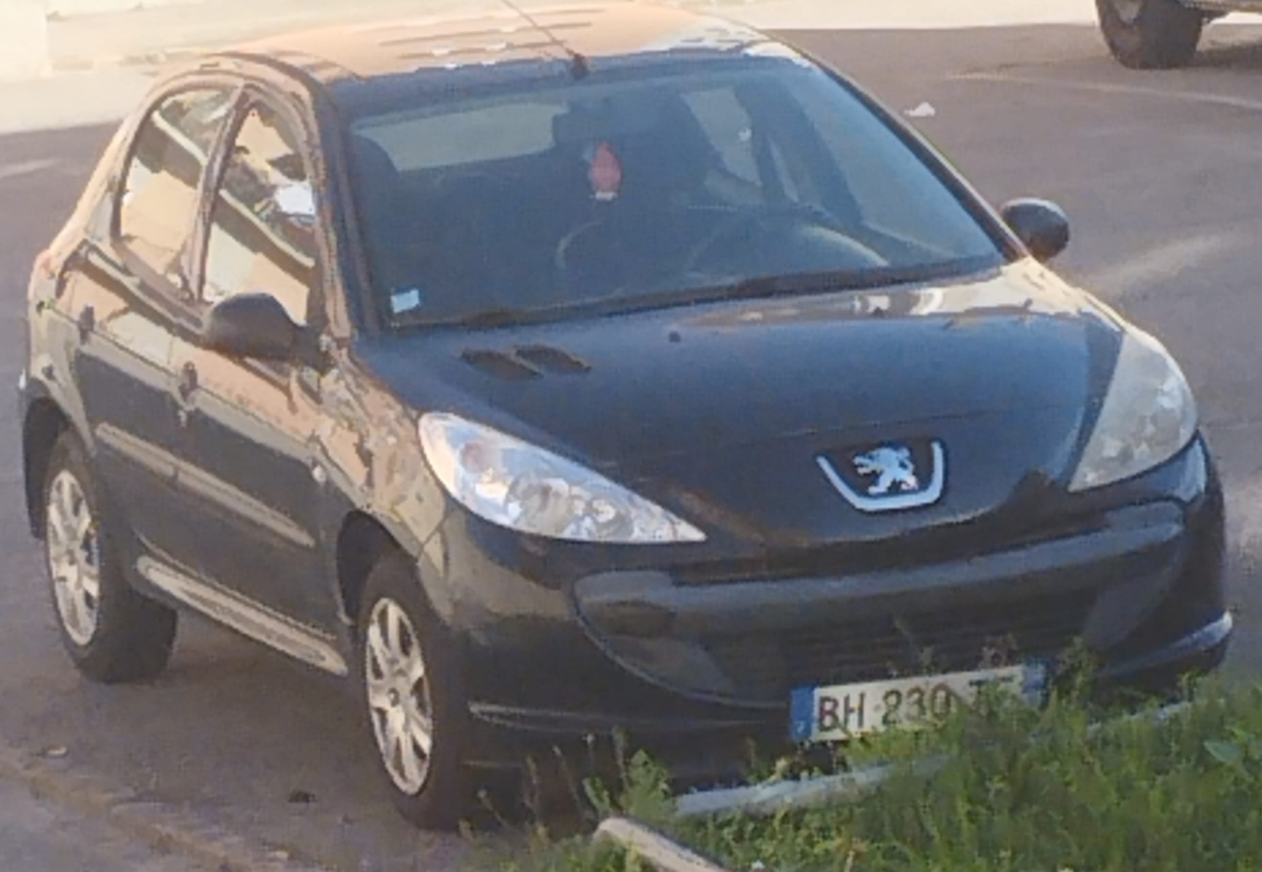 Peugeot 206+