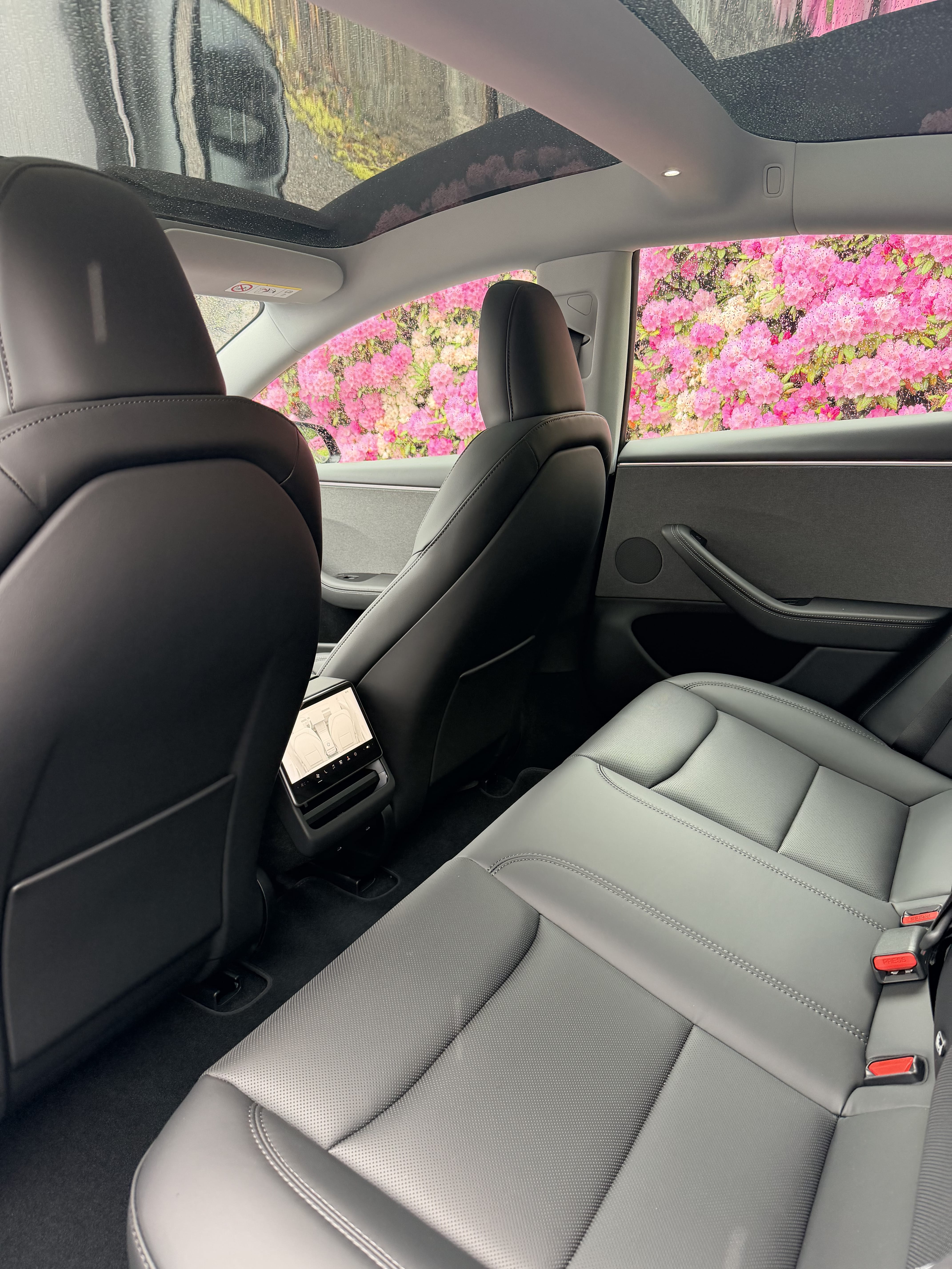 Tesla Model 3 Long Range med Ryggekamera