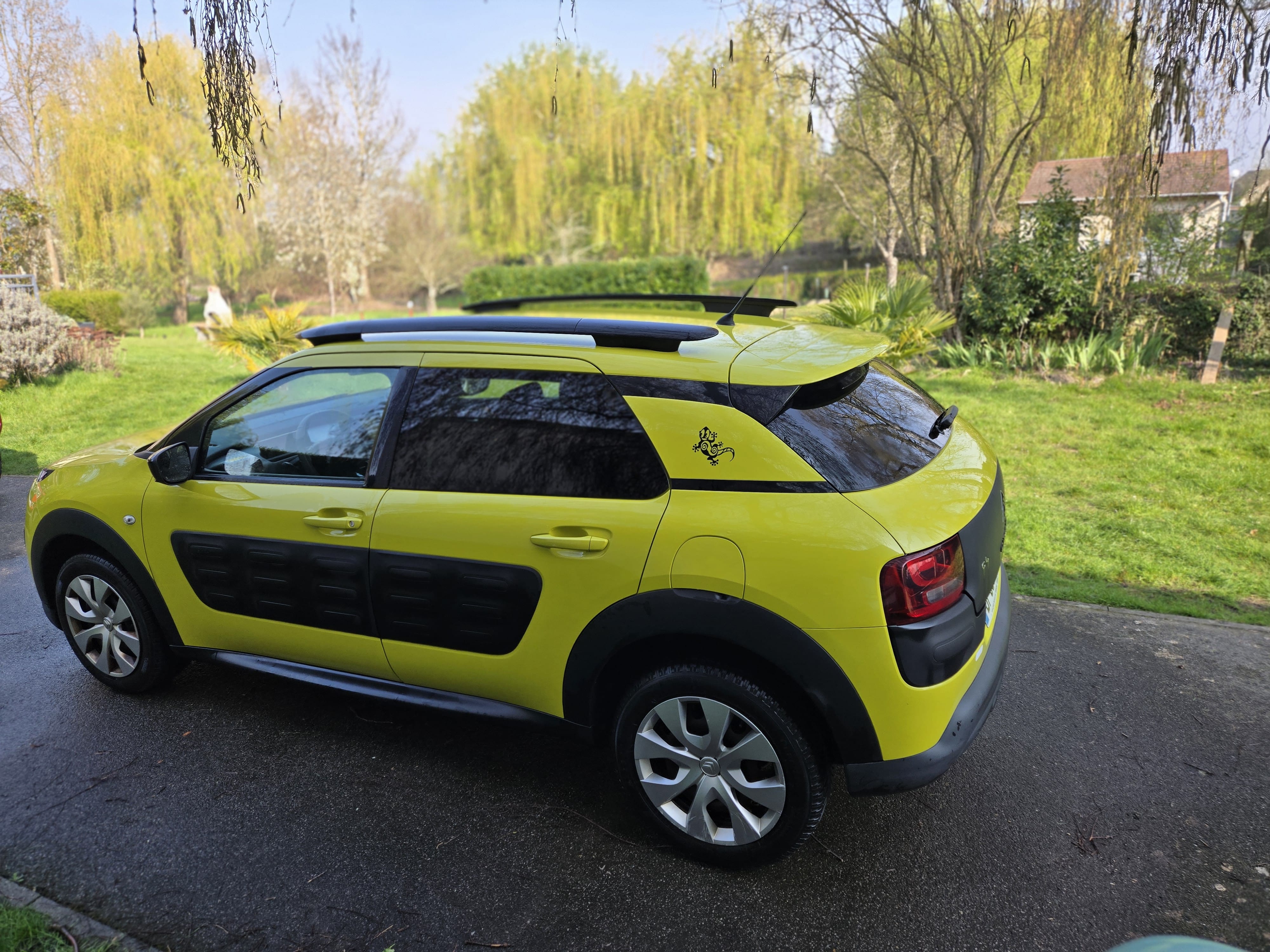 Citroen C4 Cactus avec Régulateur de vitesse