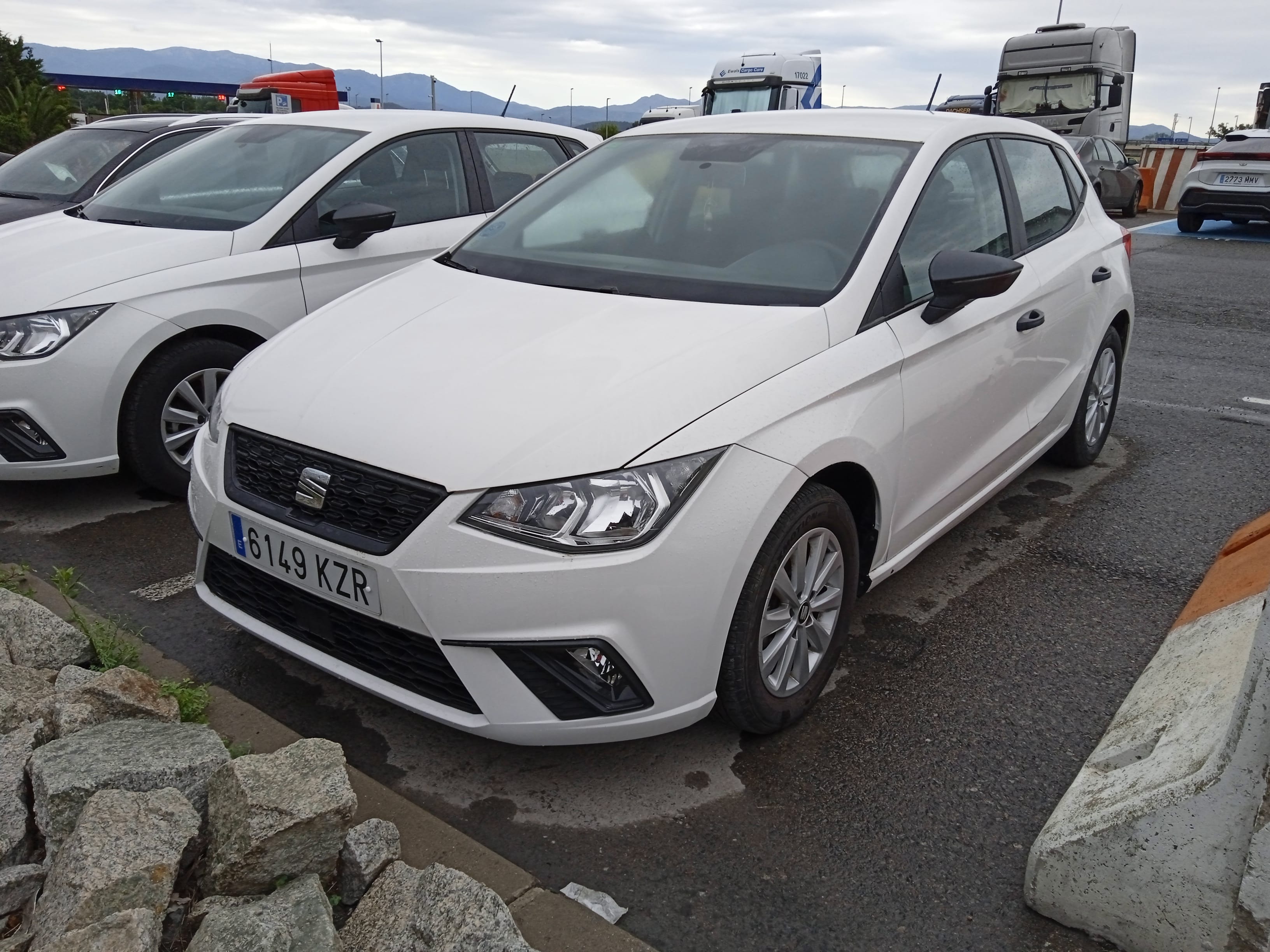 Seat Ibiza, 2019, Gasolina 95