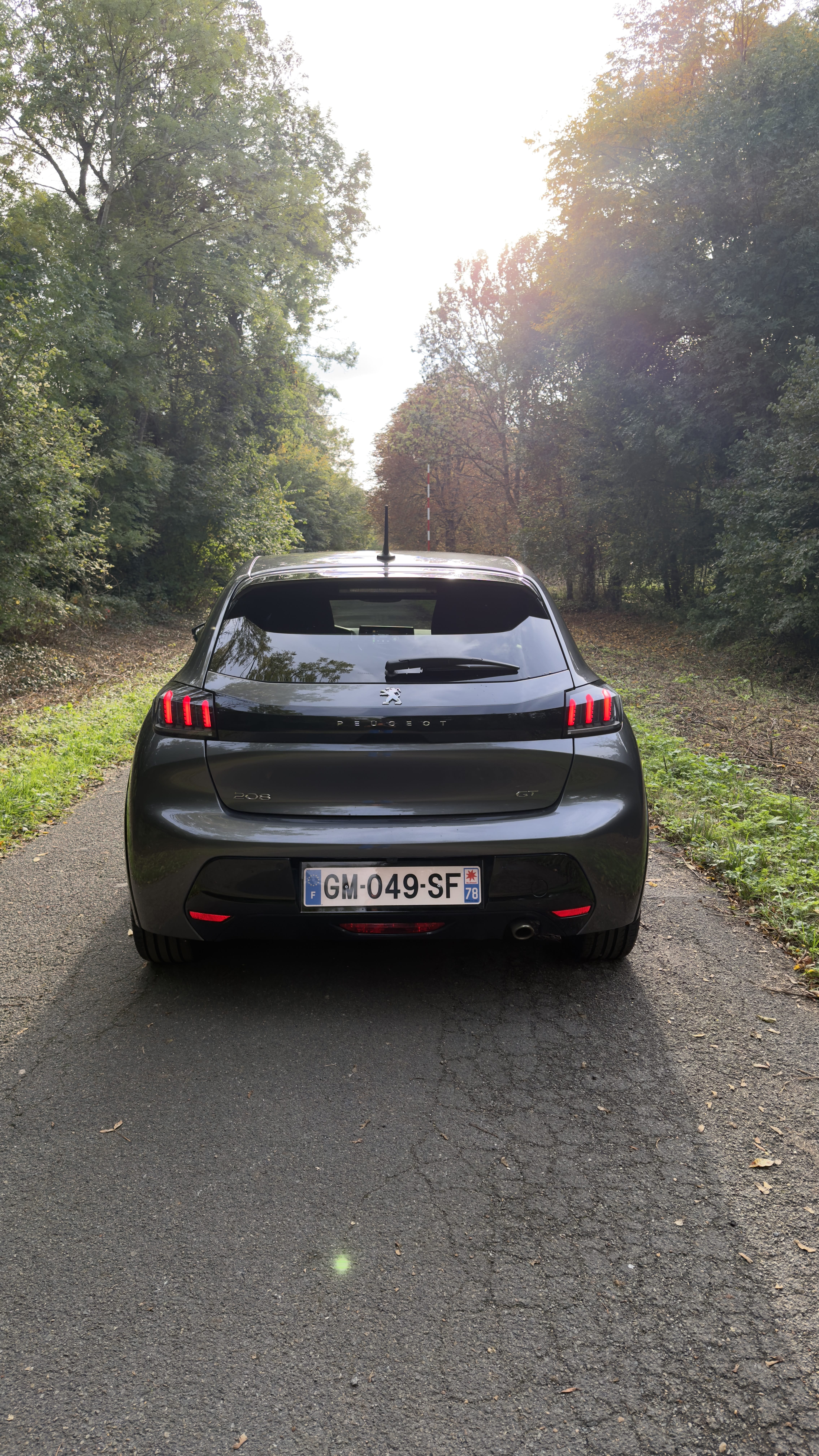 Peugeot 208 GT Line avec GPS