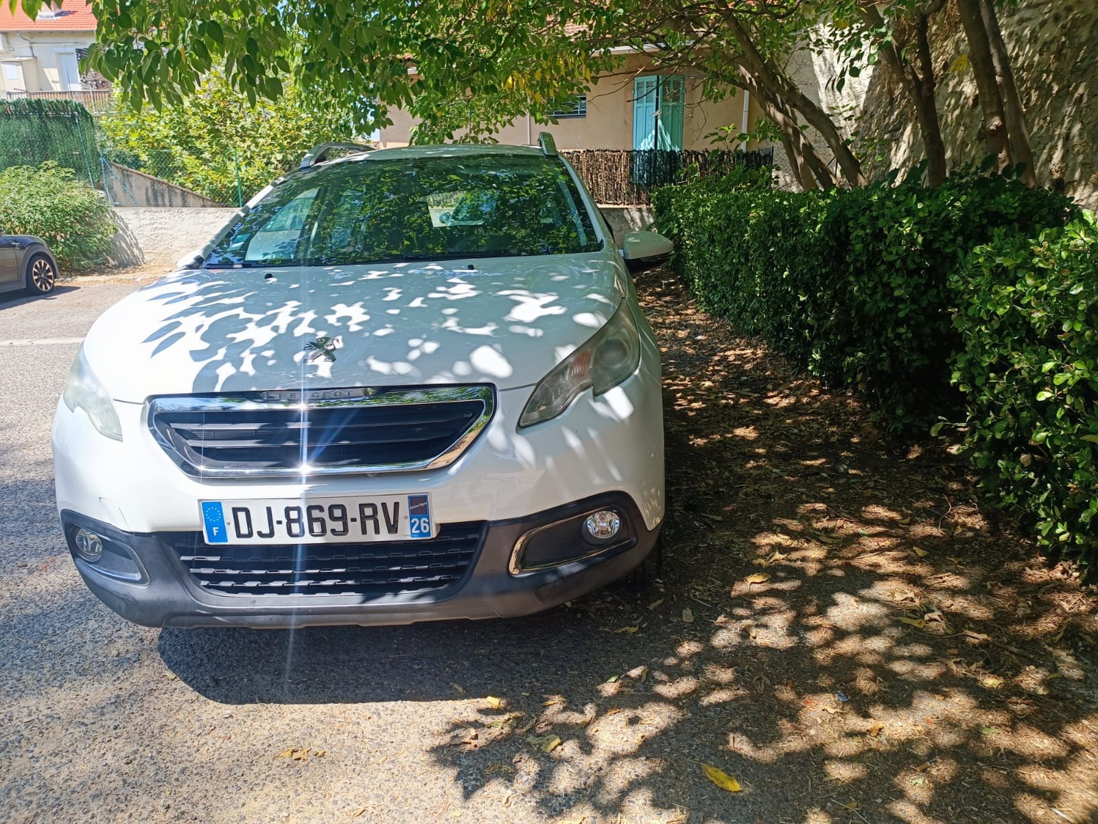 Peugeot 2008 met Dissel