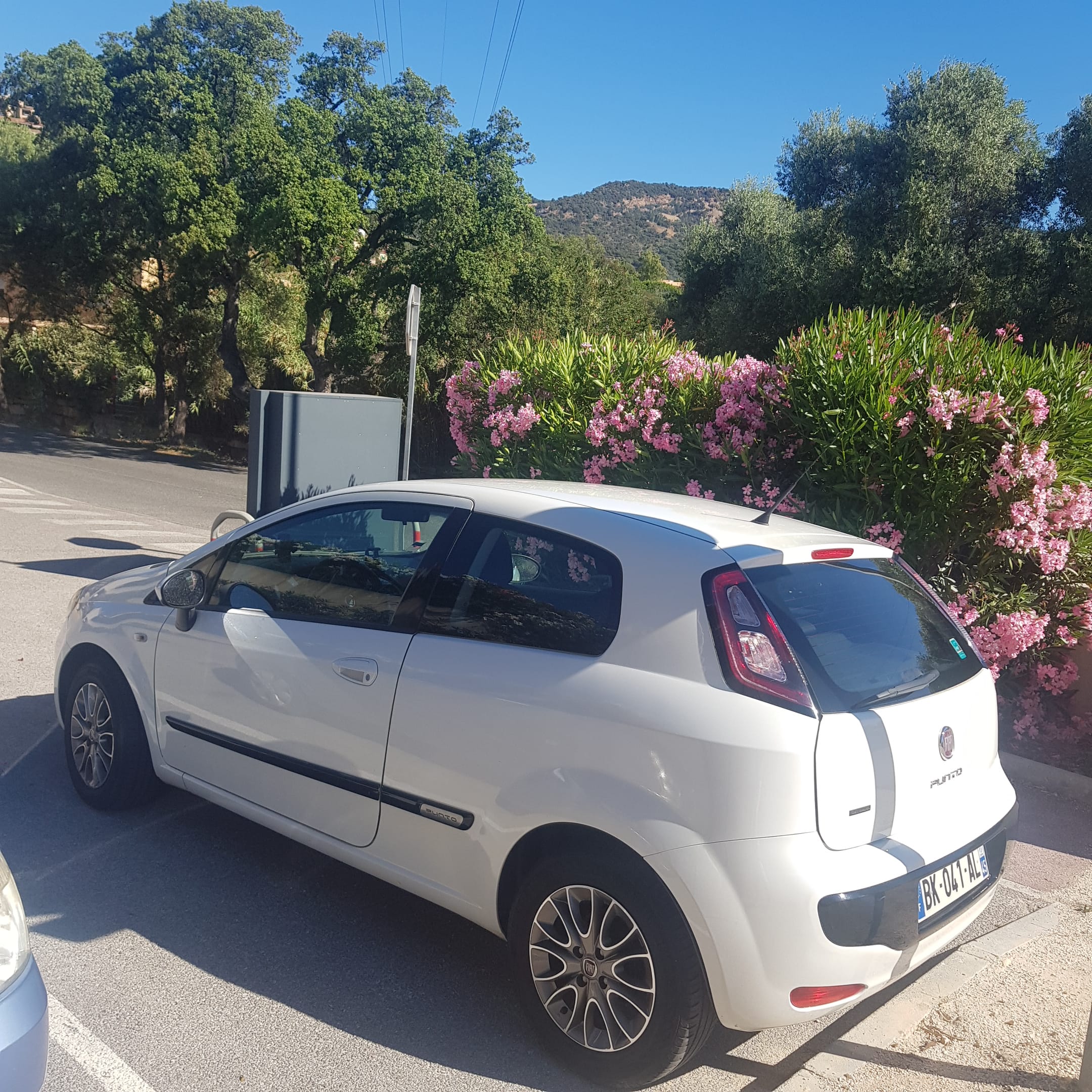 Fiat Punto Evo