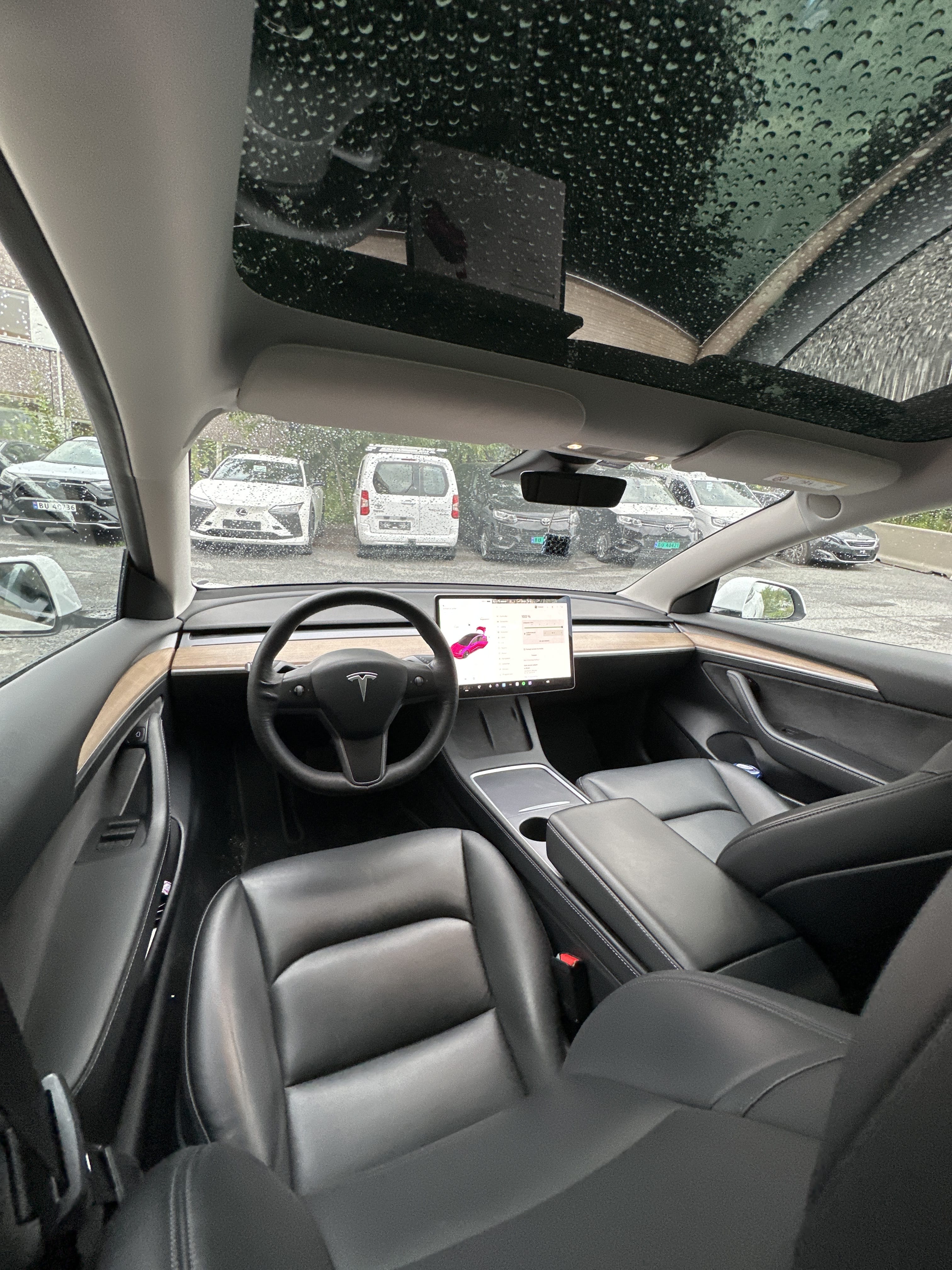 Tesla Model 3 Standard Range Plus med Lydinngang