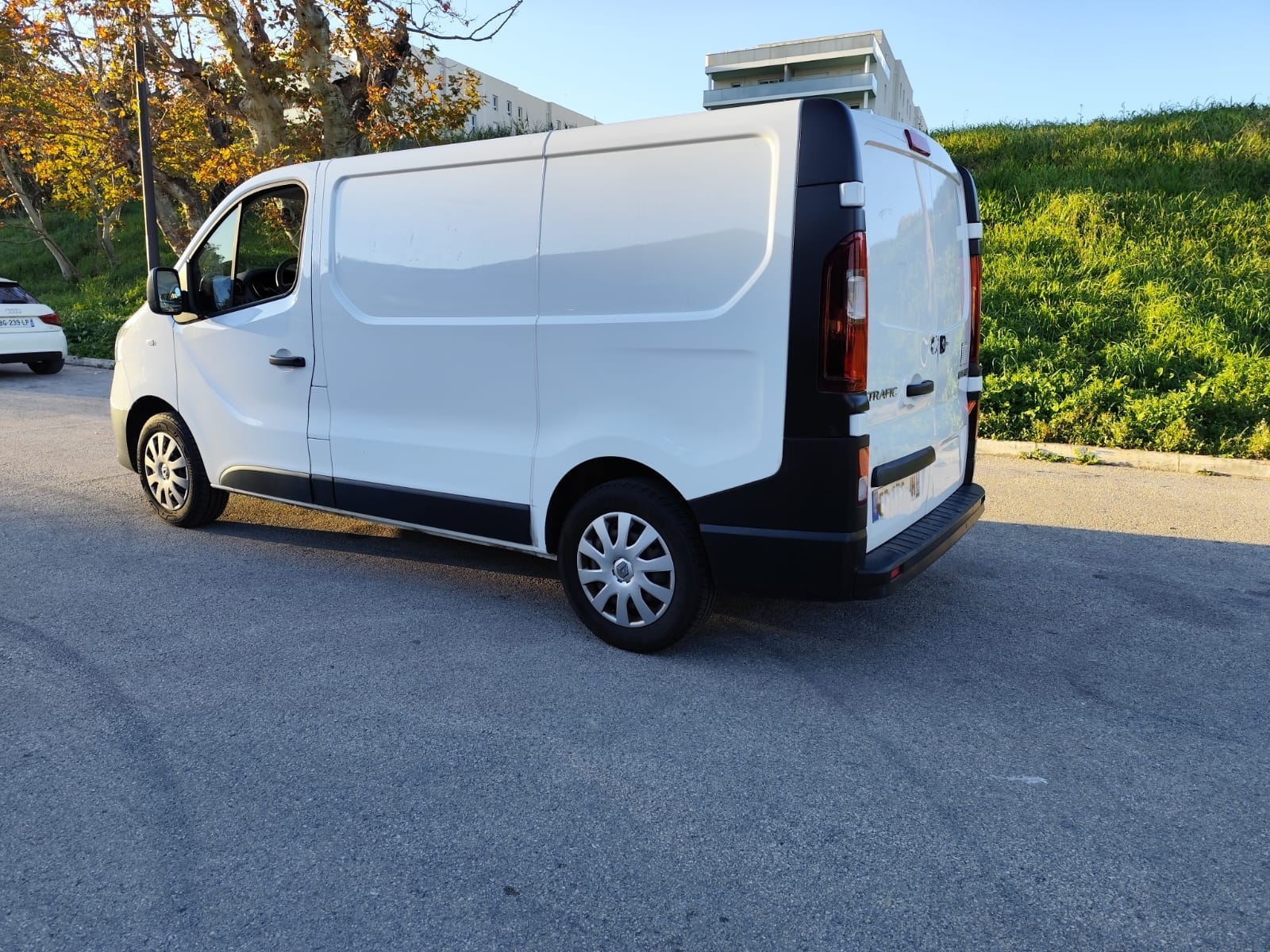 Renault Trafic Renault Trafic 3 Places Climatisé 6m3 avec Régulateur de vitesse