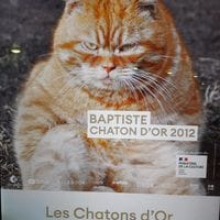 Baptiste