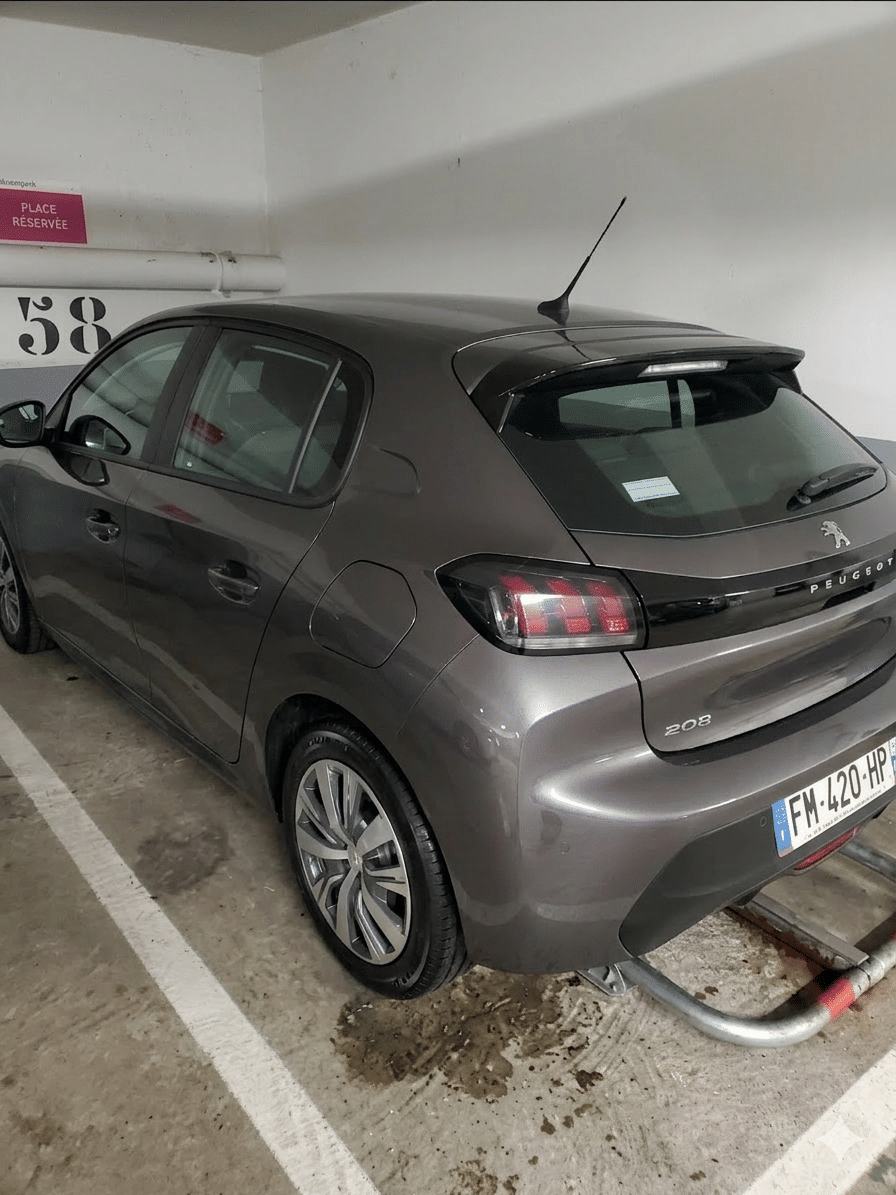 Peugeot 208 with GPS