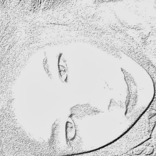 Delphine